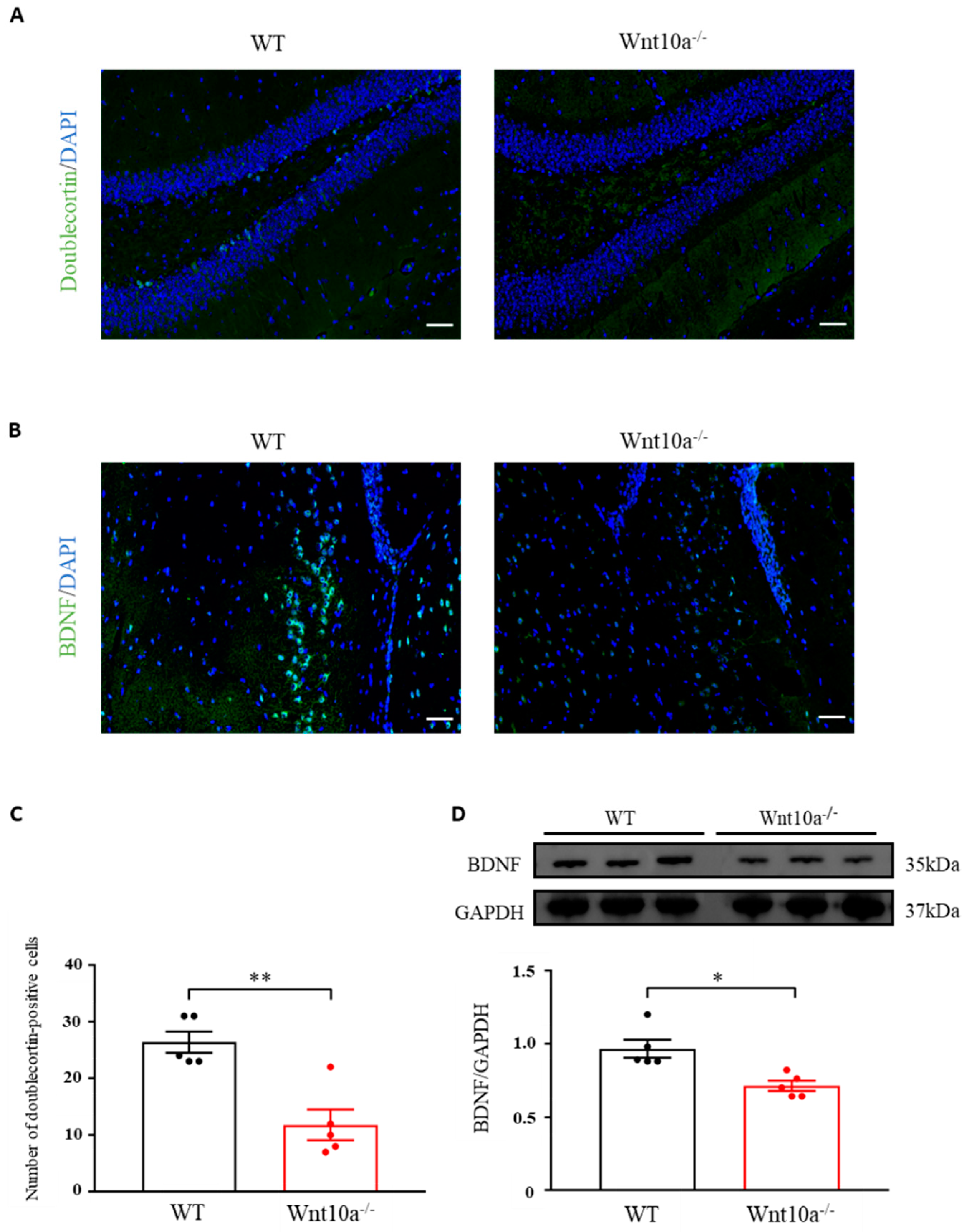 Biomedicines 10 01500 g004
