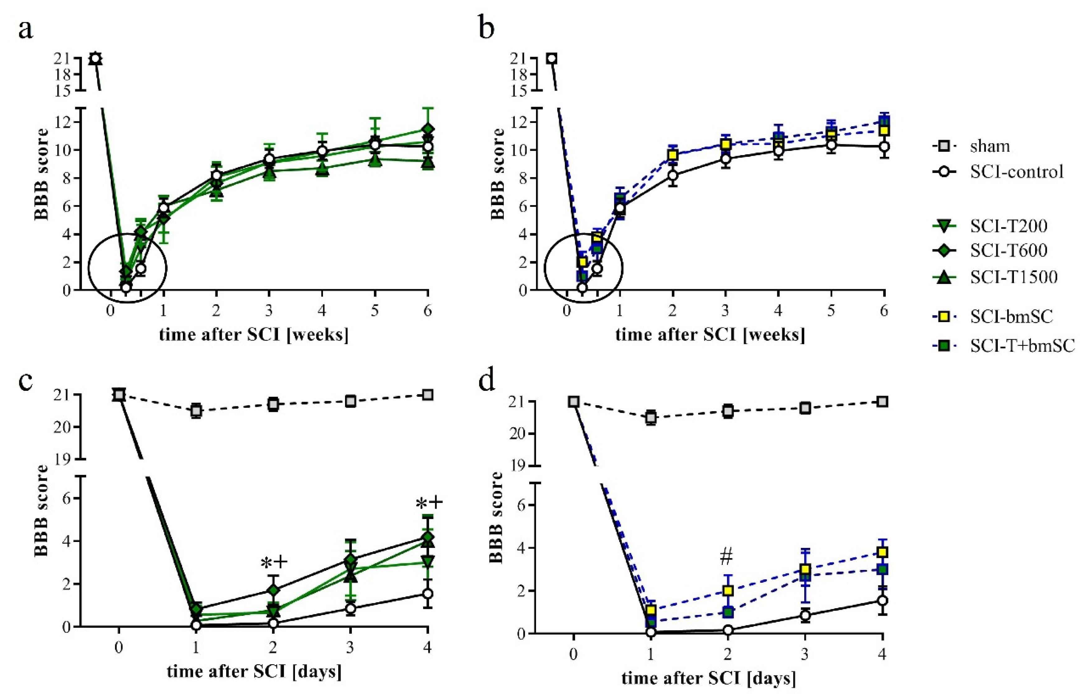 Biomedicines 10 01501 g003