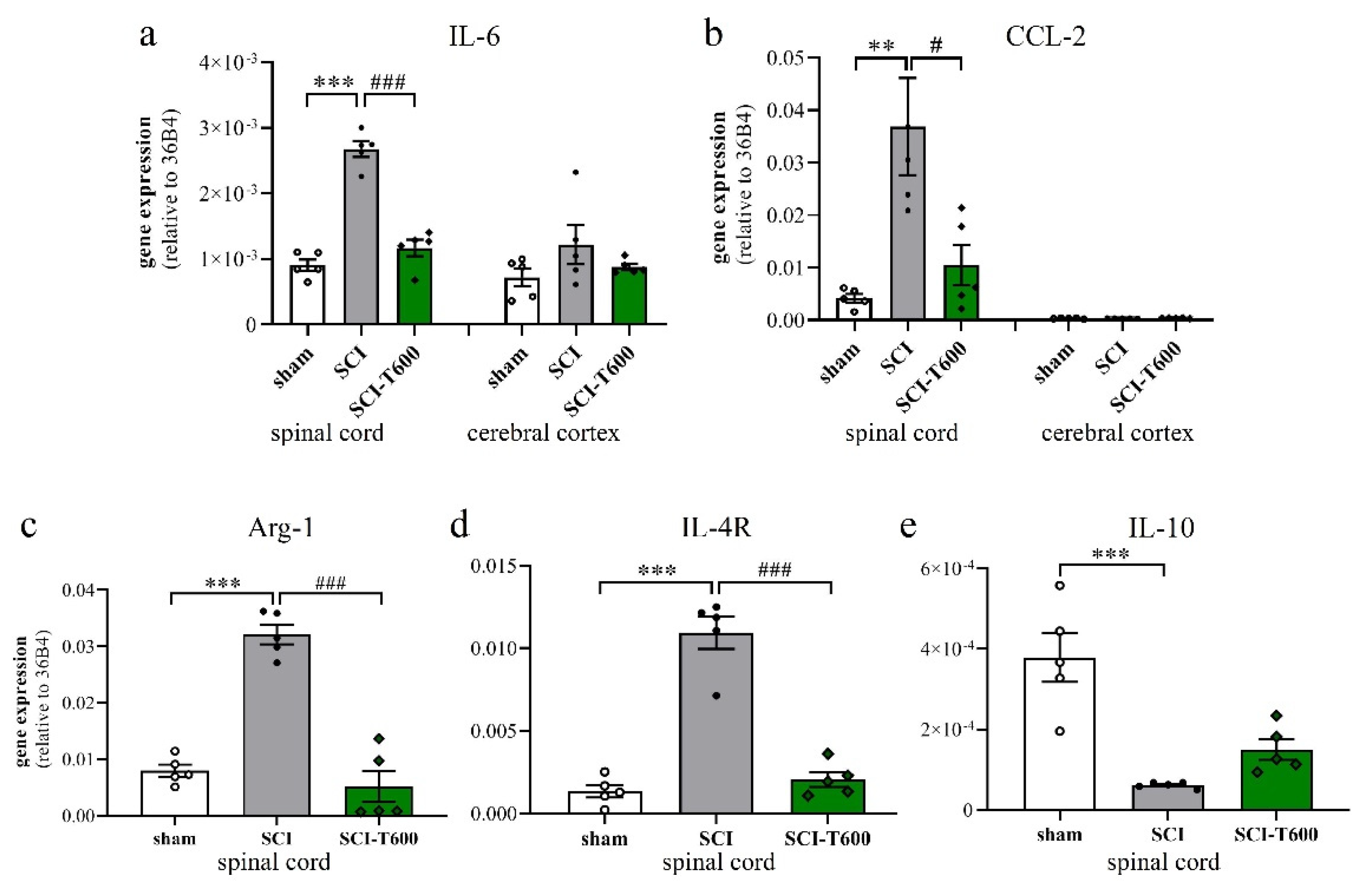 Biomedicines 10 01501 g005