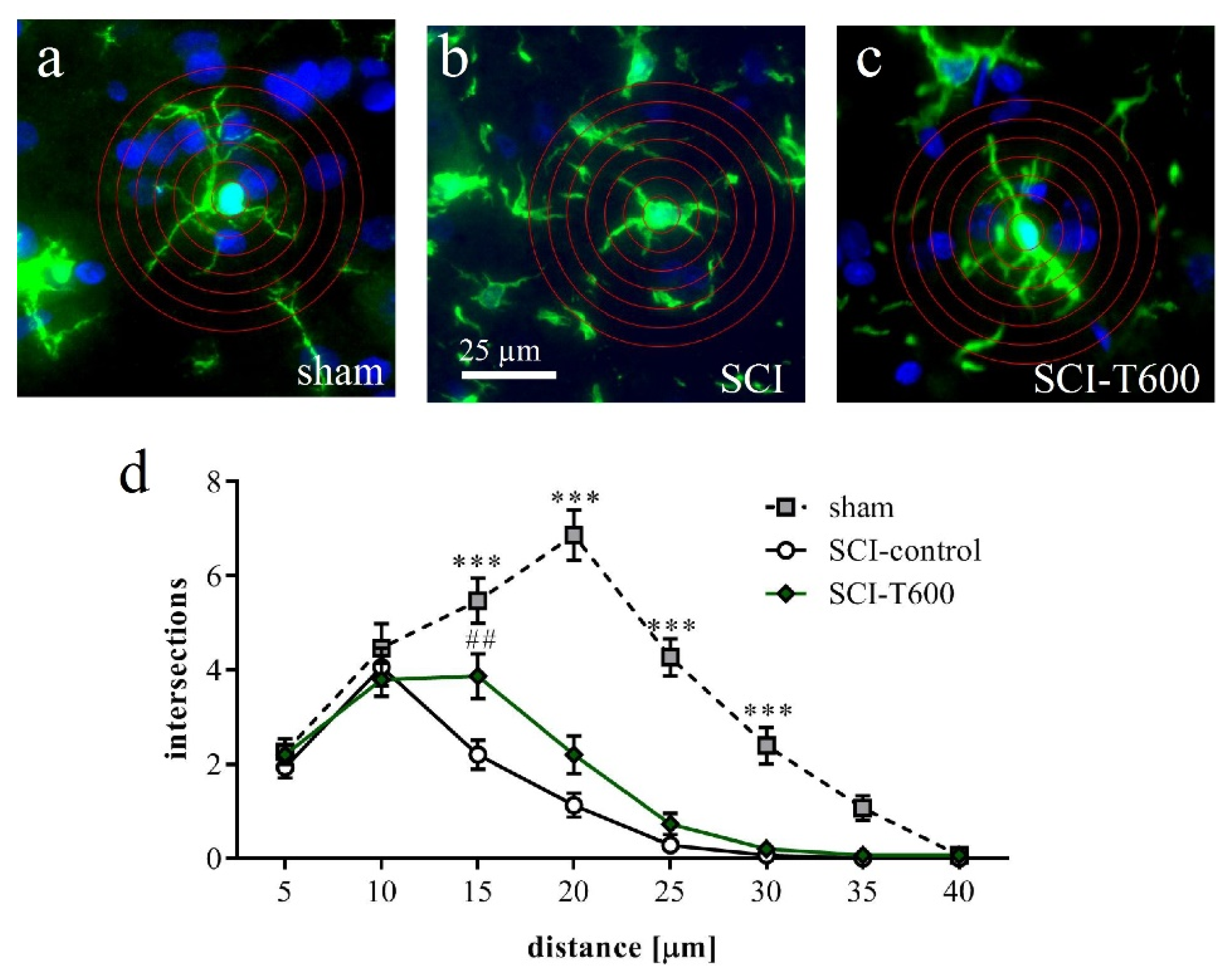 Biomedicines 10 01501 g010