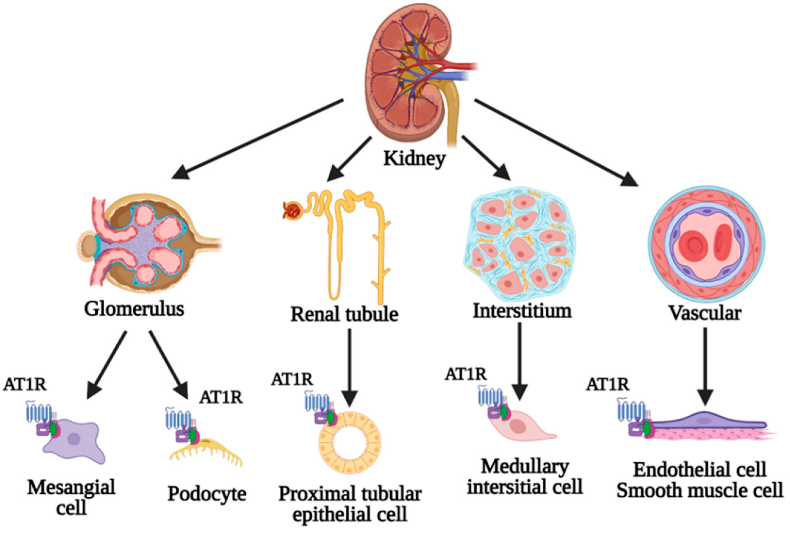 Biomedicines 10 01506 g002