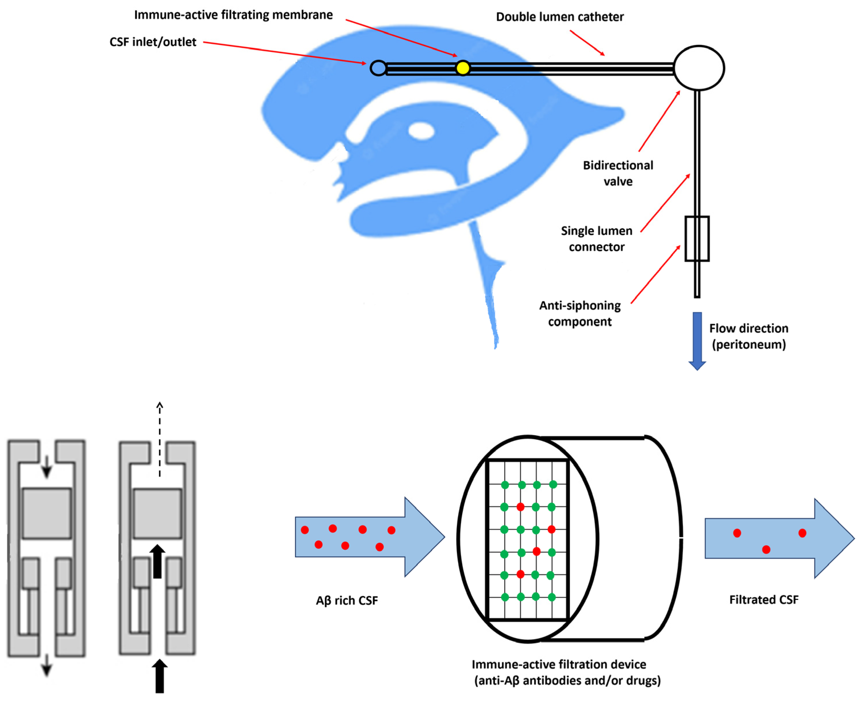 Biomedicines 10 01509 g003