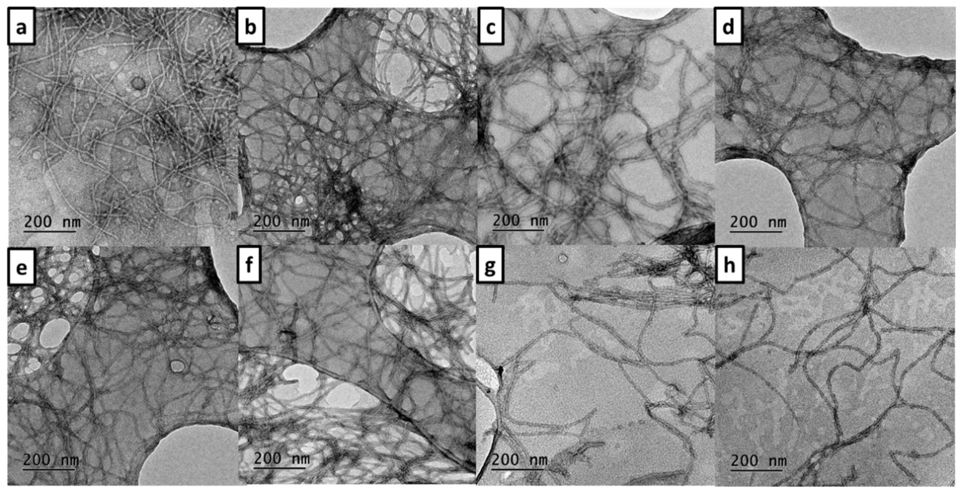 Biomedicines 10 01510 g006 Biomedicines 10 01510 g006