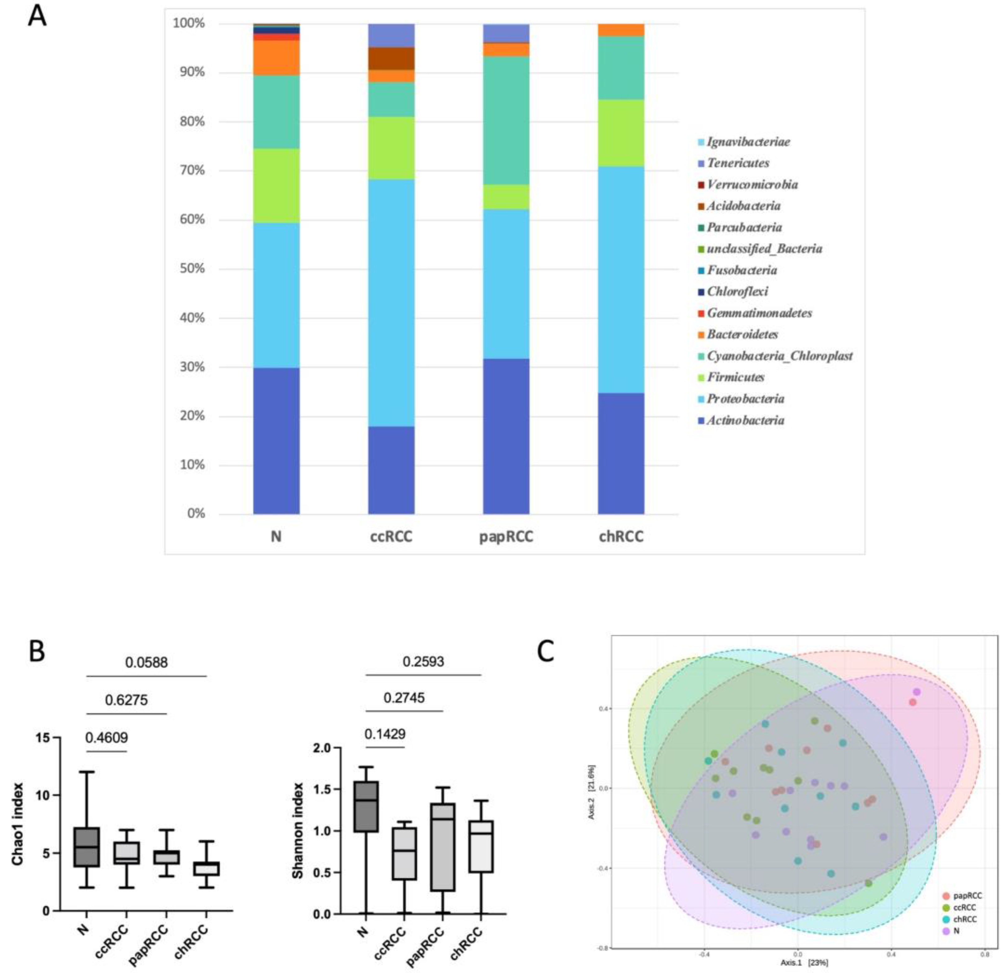 Biomedicines 10 01516 g001