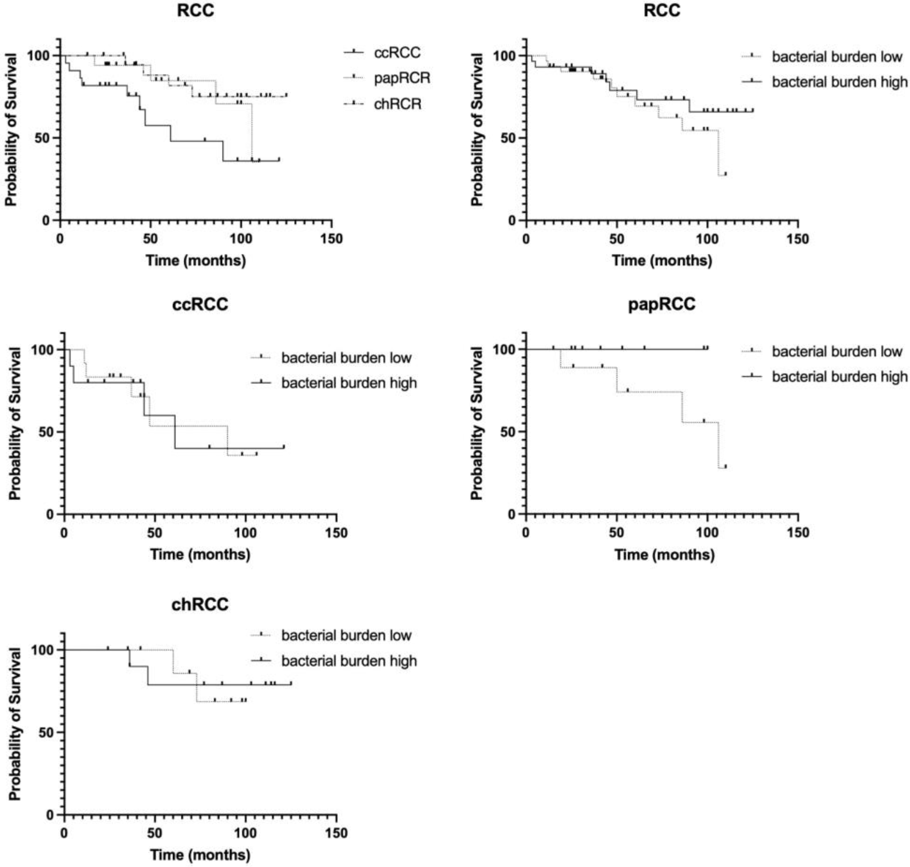 Biomedicines 10 01516 g007