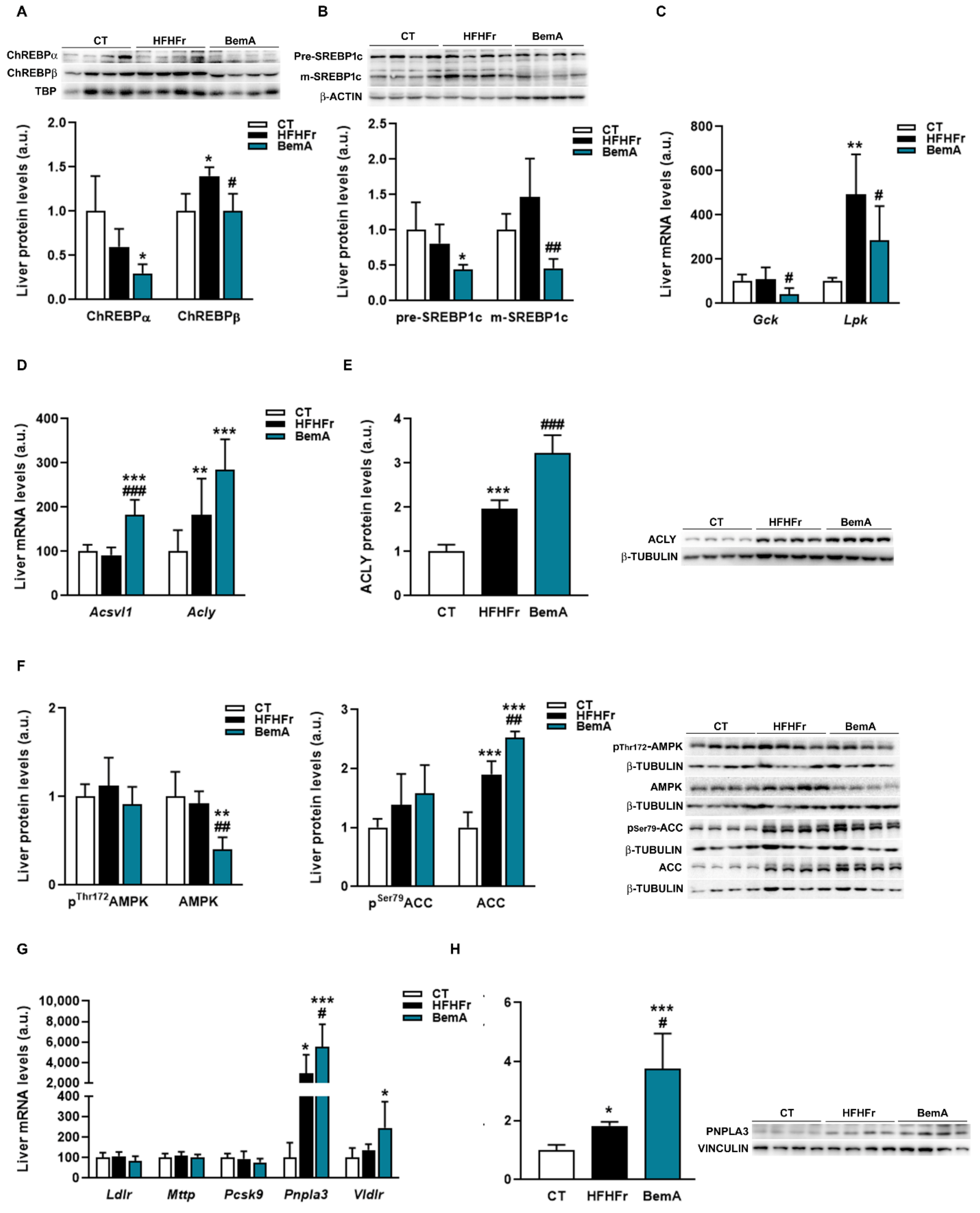 Biomedicines 10 01517 g006