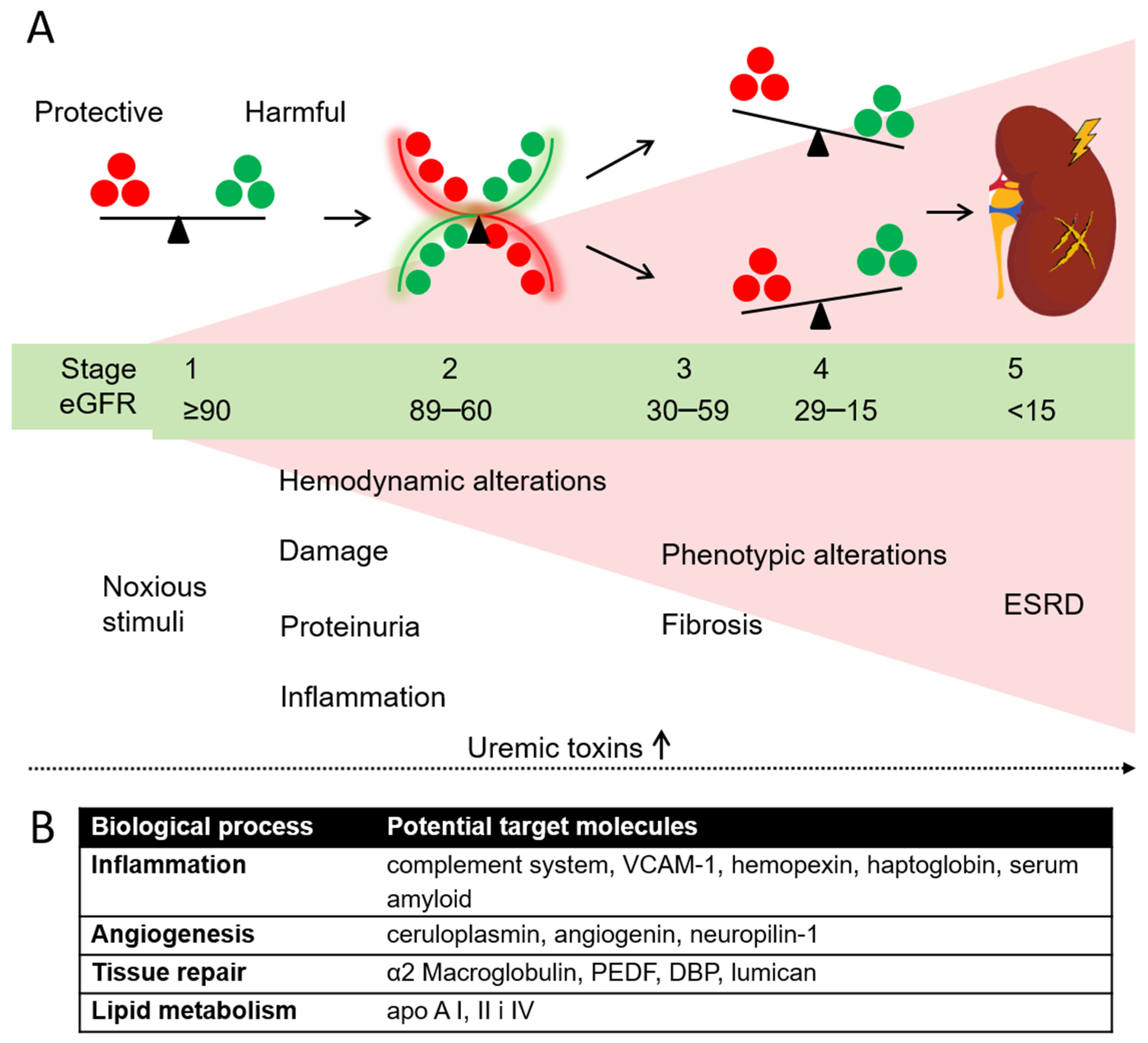 Biomedicines 10 01522 g005