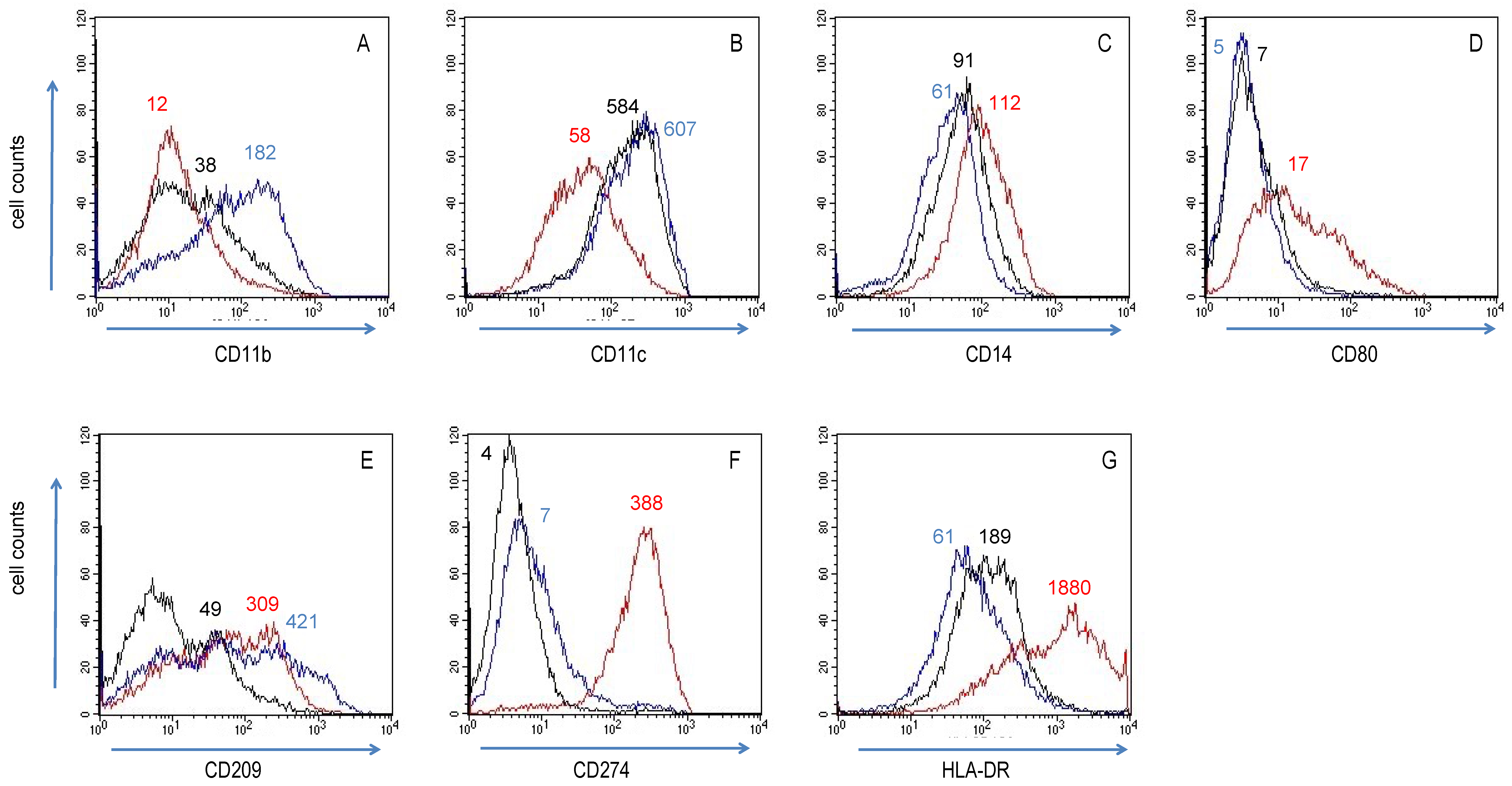 Biomedicines 10 01524 g001