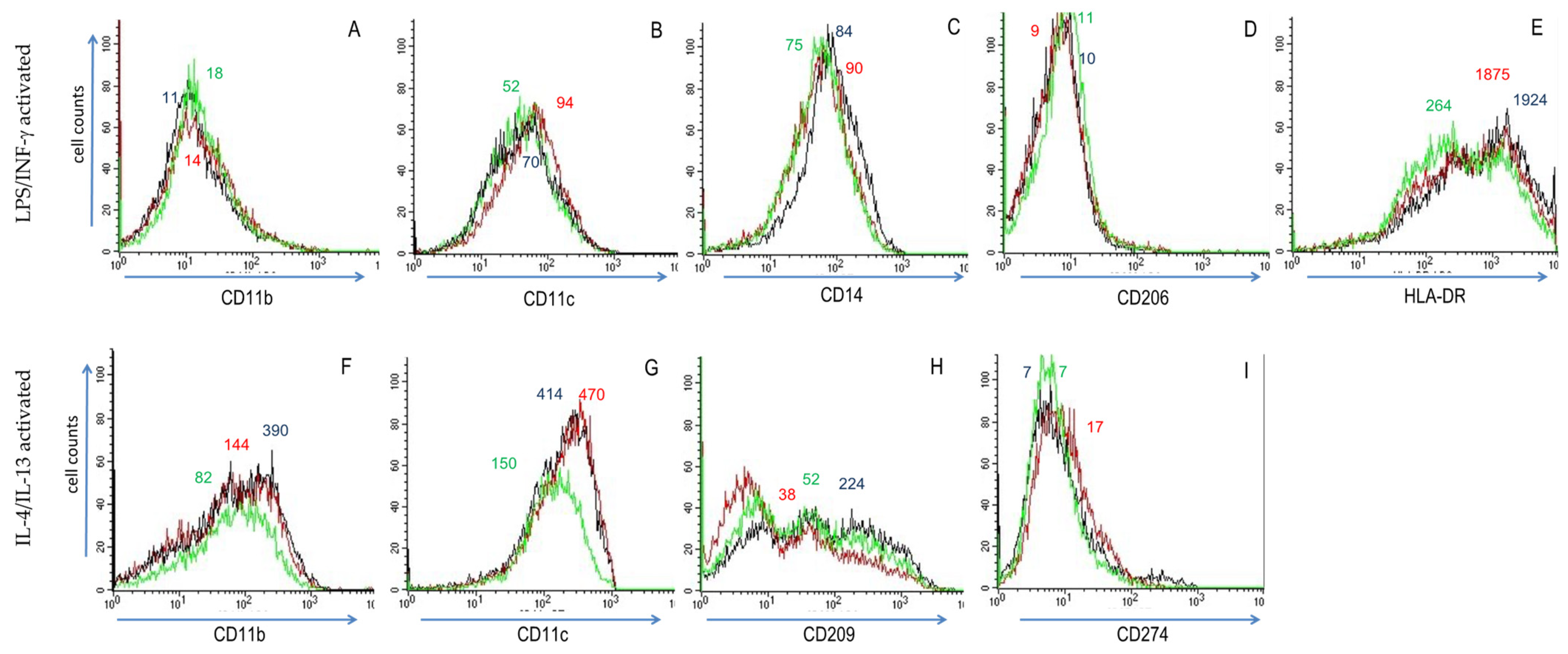 Biomedicines 10 01524 g002