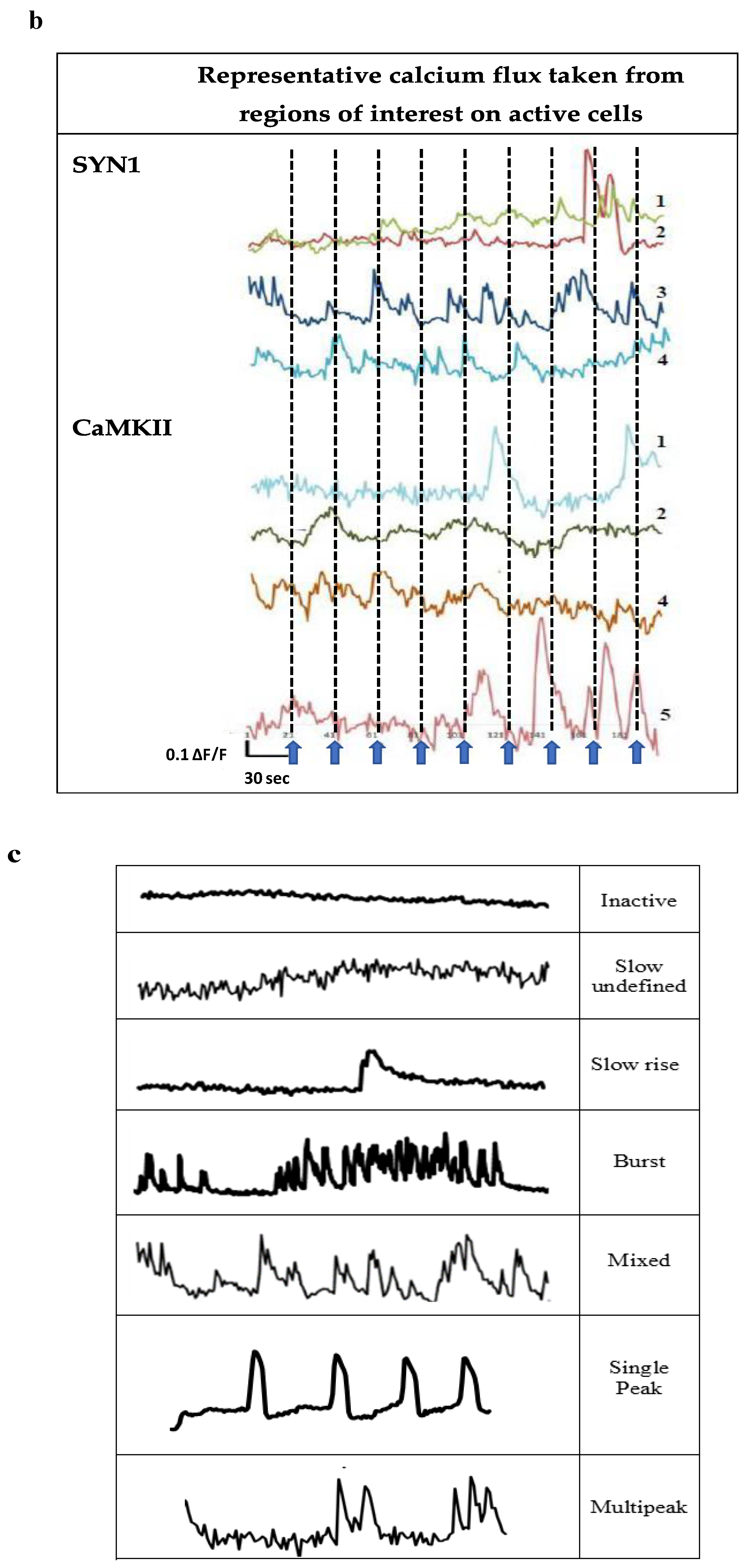 Biomedicines 10 01534 g004b