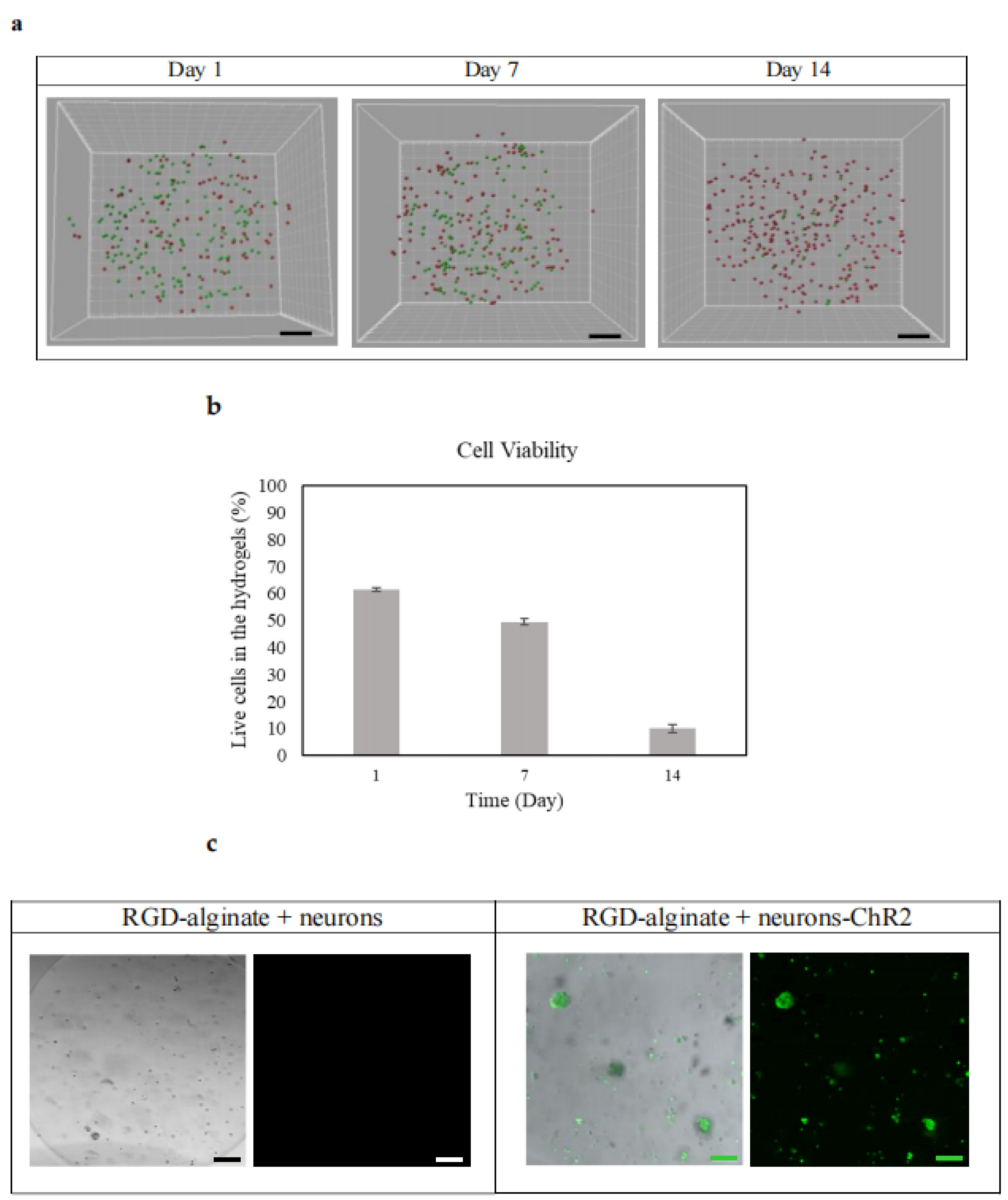 Biomedicines 10 01534 g005