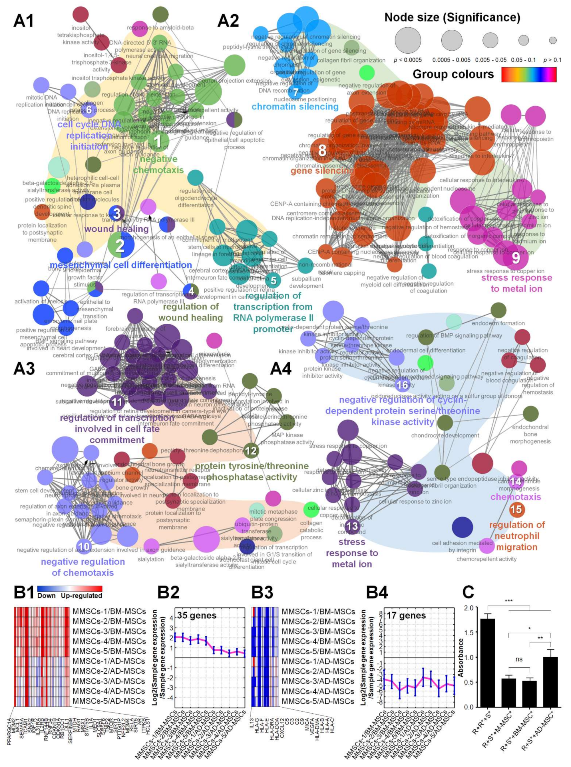 Biomedicines 10 01549 g001