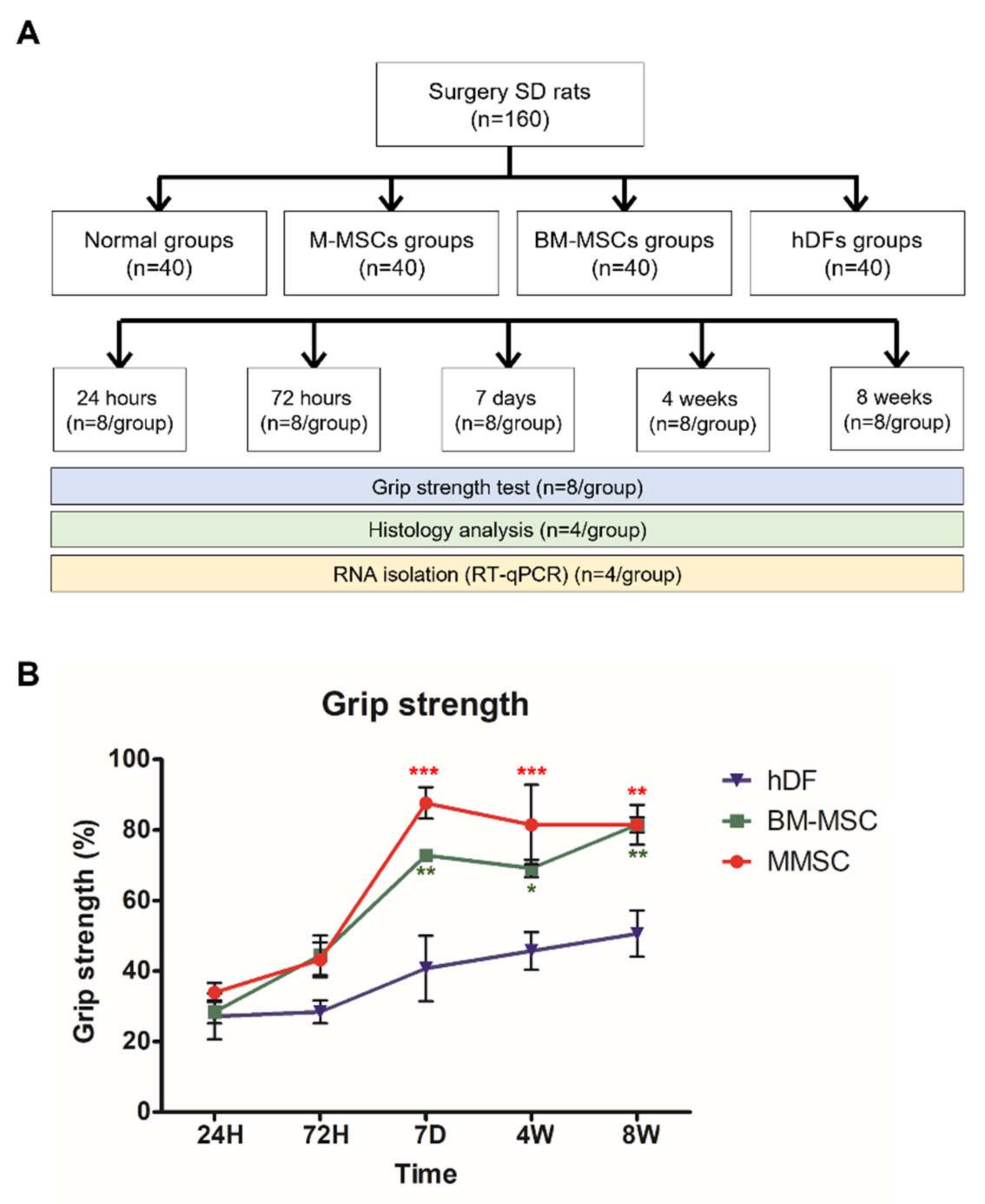 Biomedicines 10 01549 g002