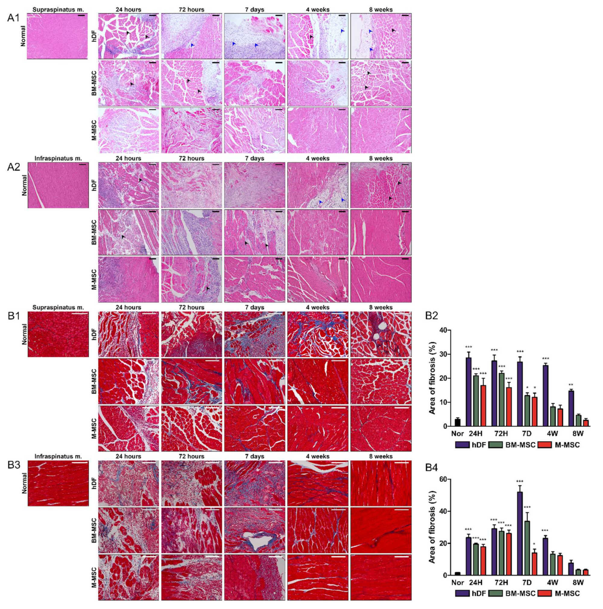 Biomedicines 10 01549 g003