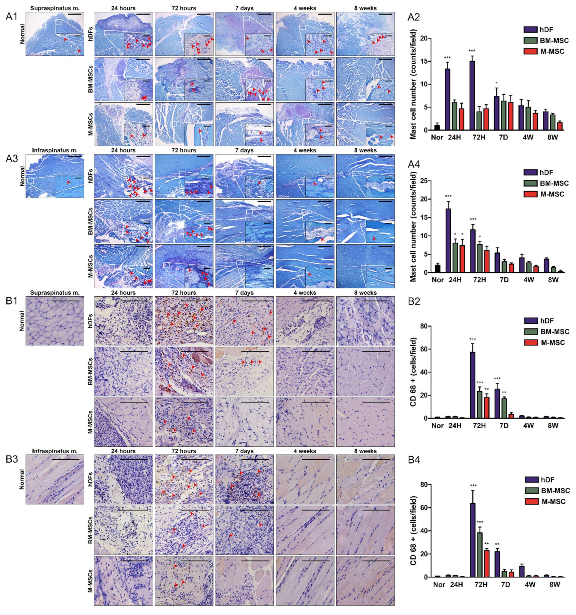 Biomedicines 10 01549 g004