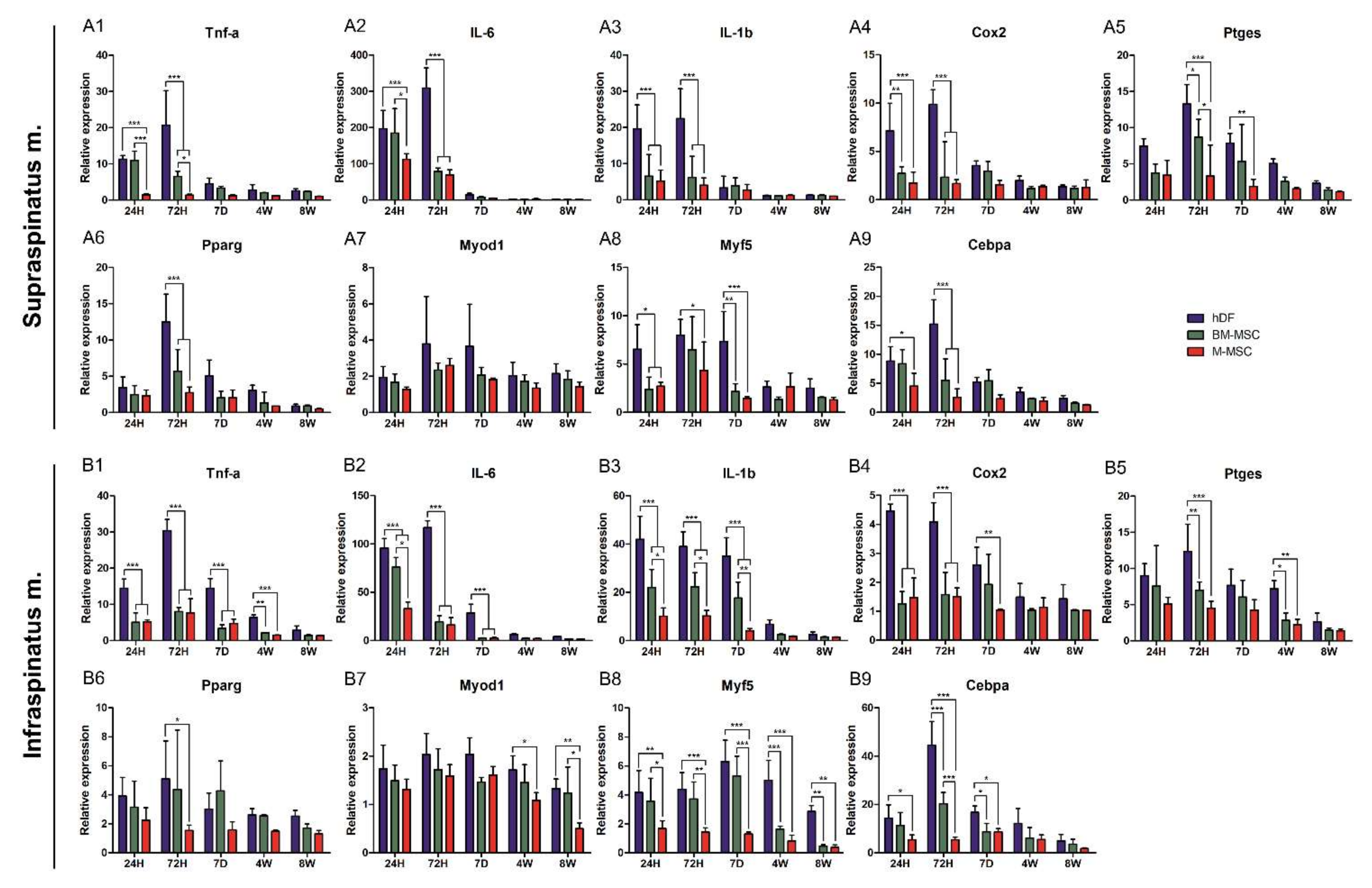 Biomedicines 10 01549 g005