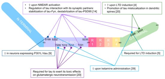 Biomedicines 10 01550 g002