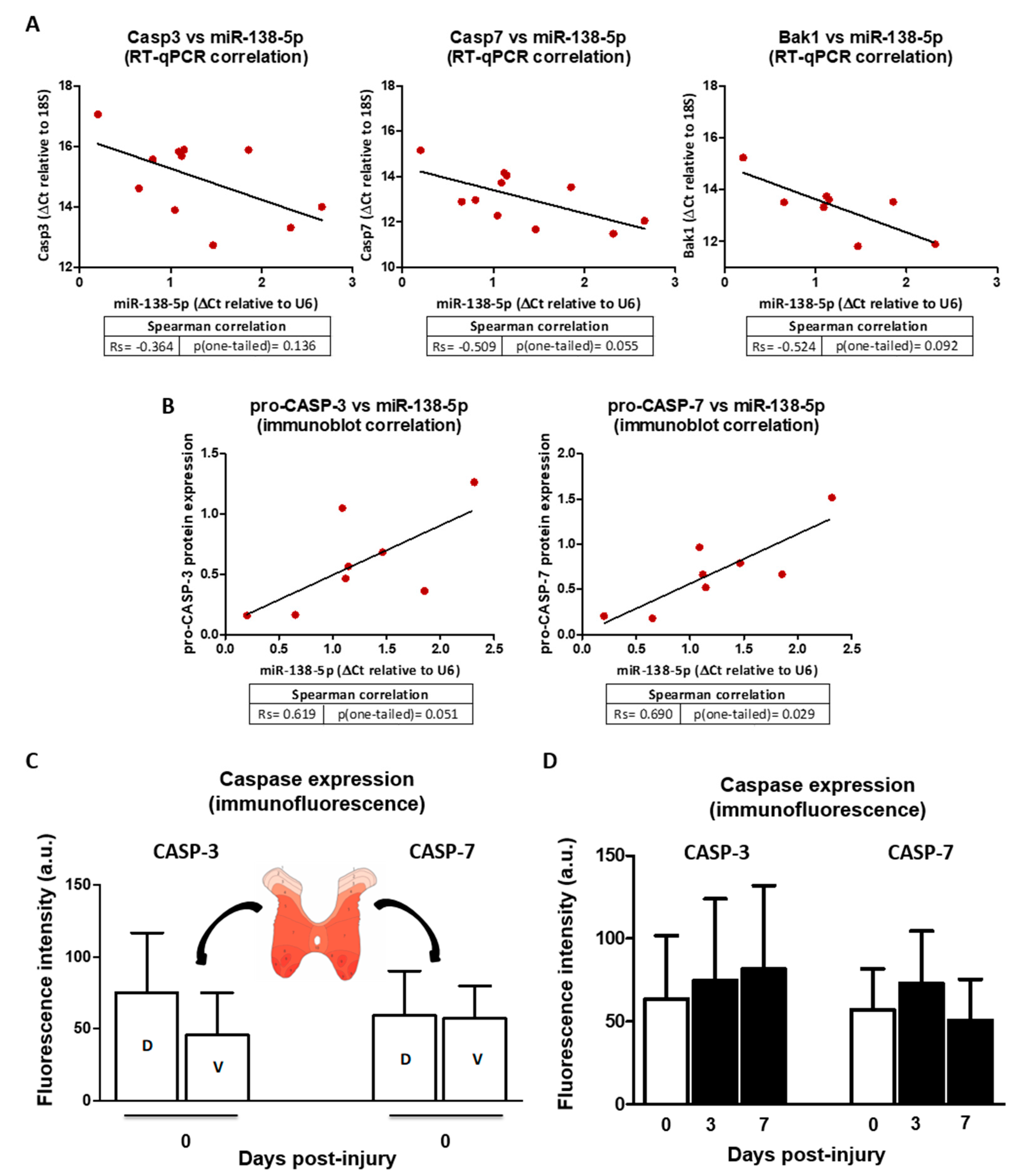 Biomedicines 10 01559 g008