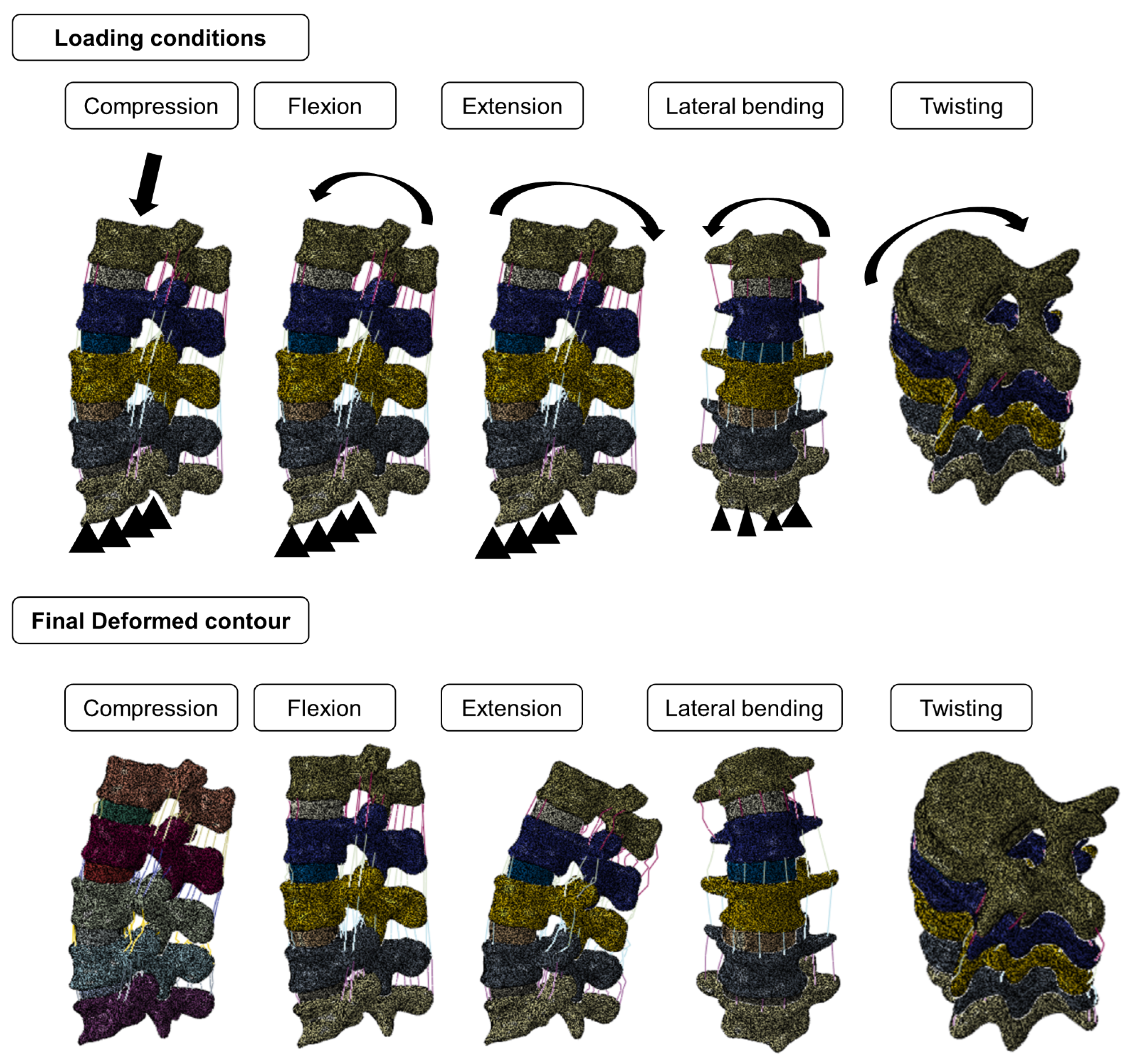 Biomedicines 10 01567 g004