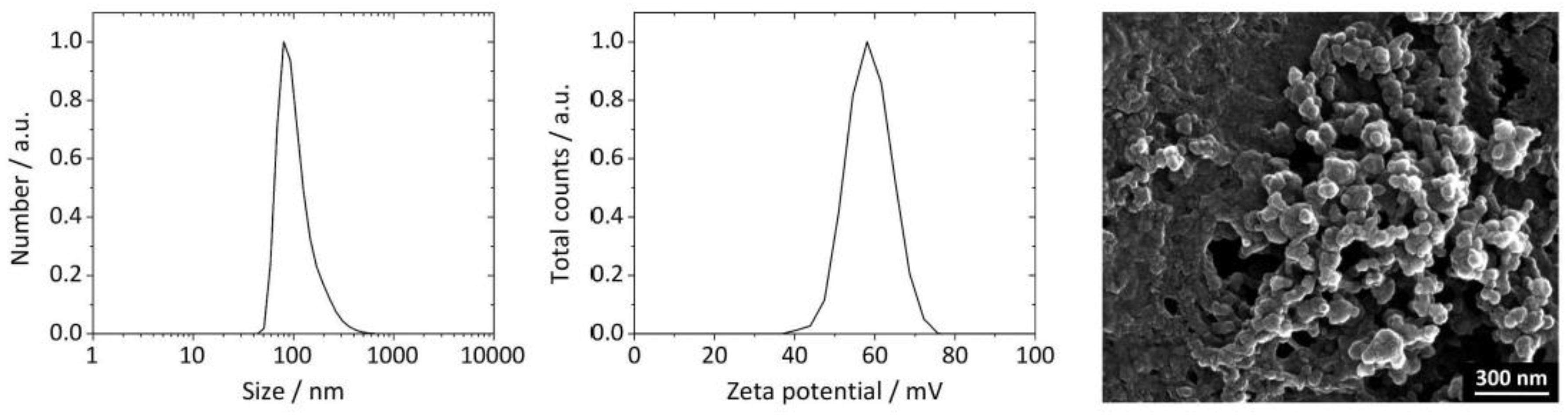 Biomedicines 10 01571 g002