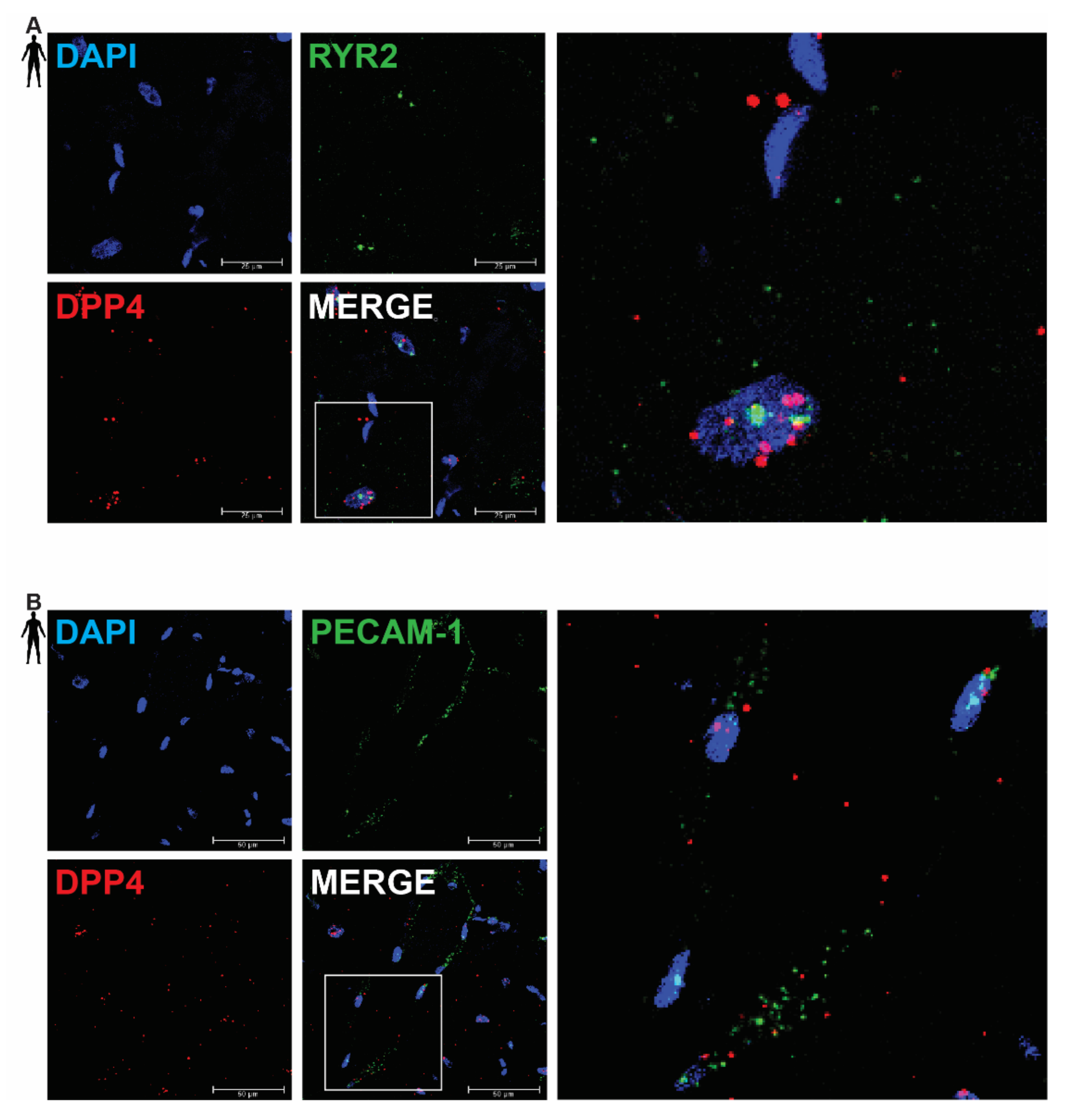 Biomedicines 10 01573 g002