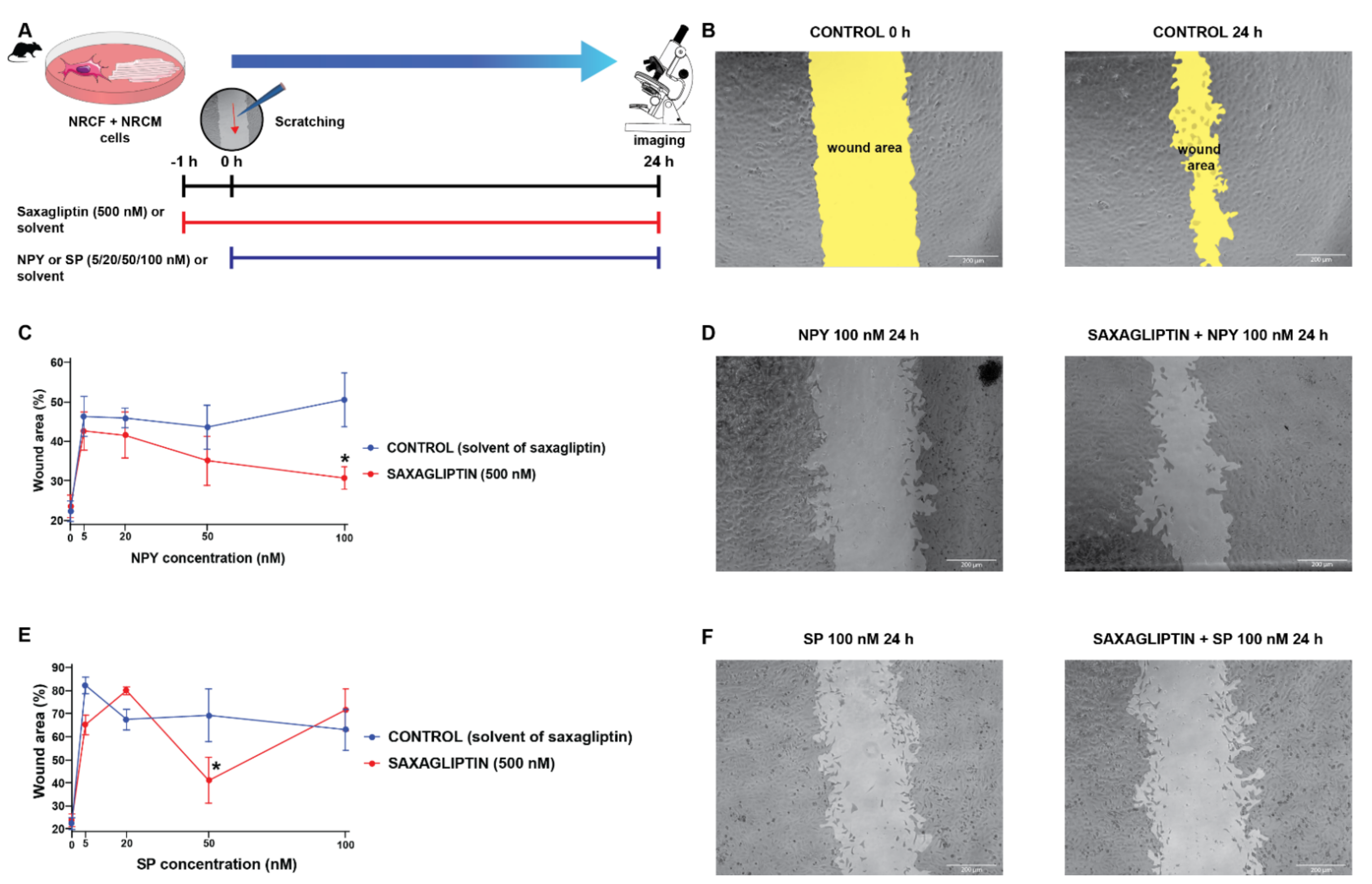 Biomedicines 10 01573 g005