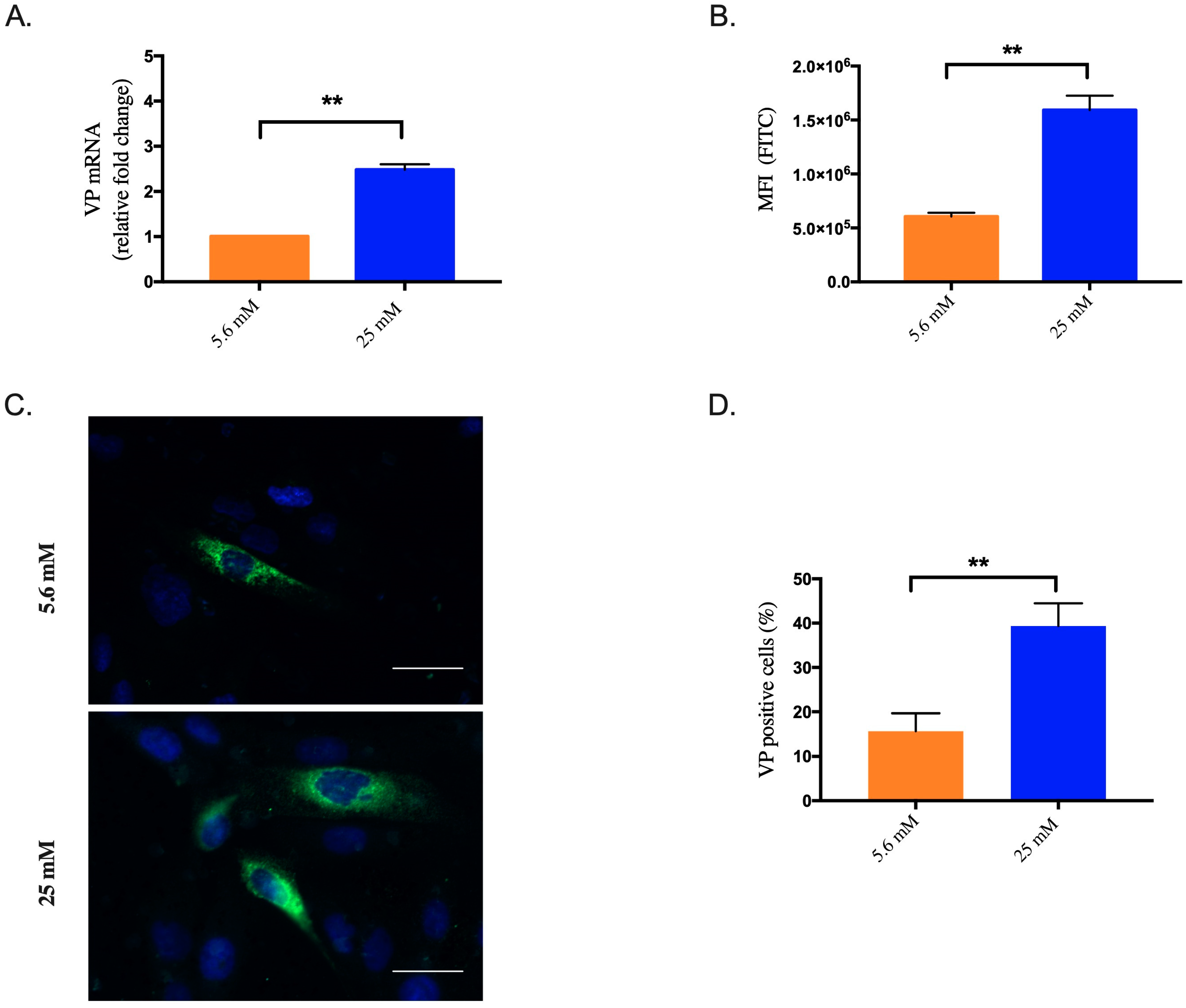 Biomedicines 10 01577 g001