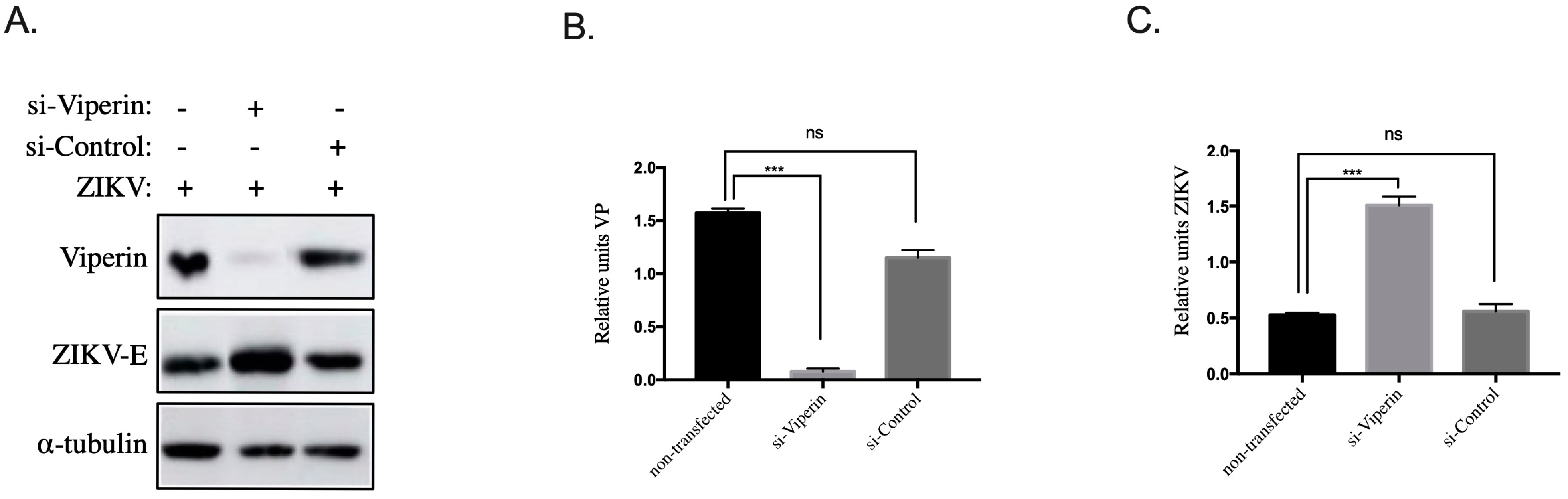 Biomedicines 10 01577 g003