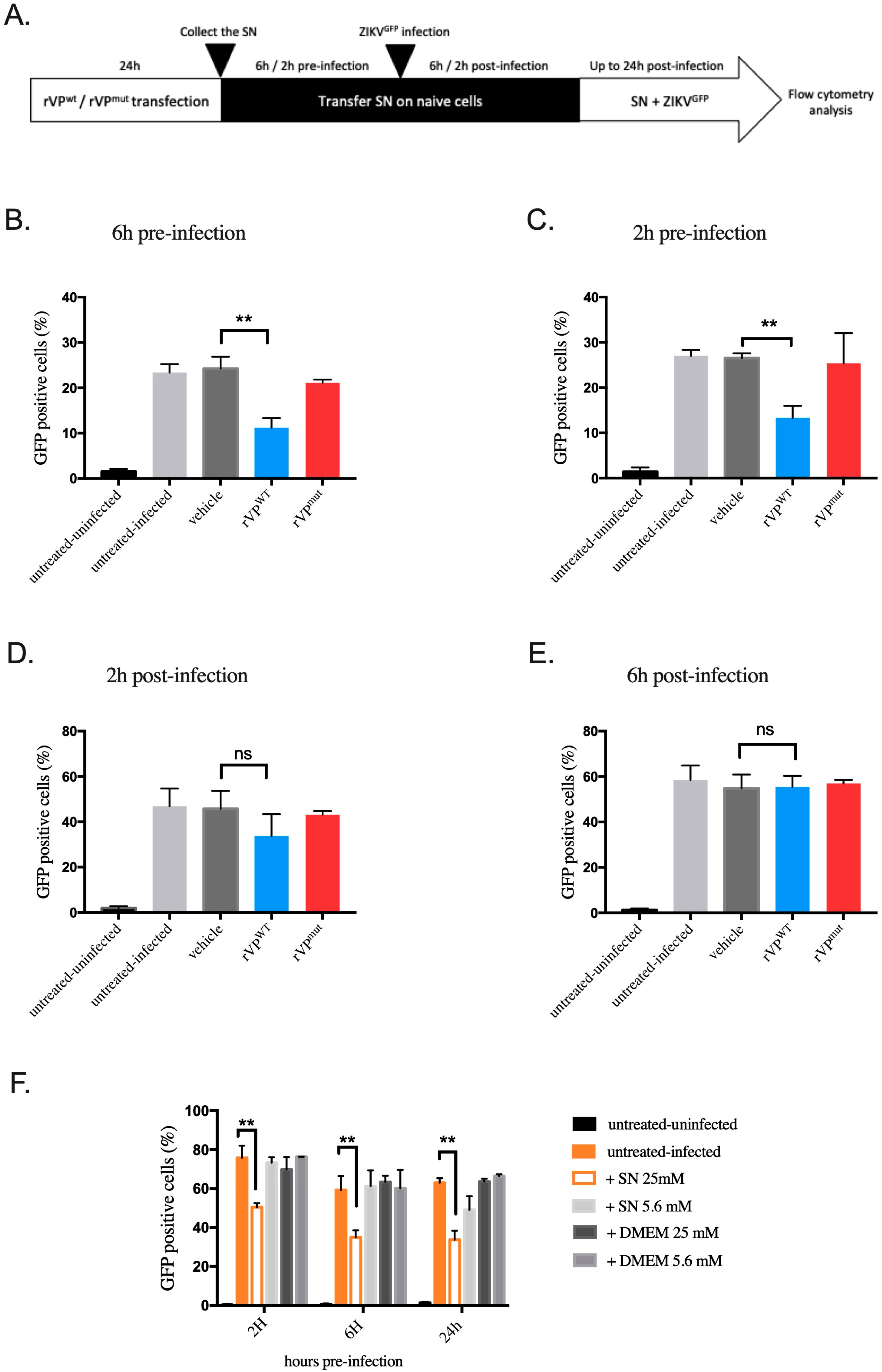 Biomedicines 10 01577 g004