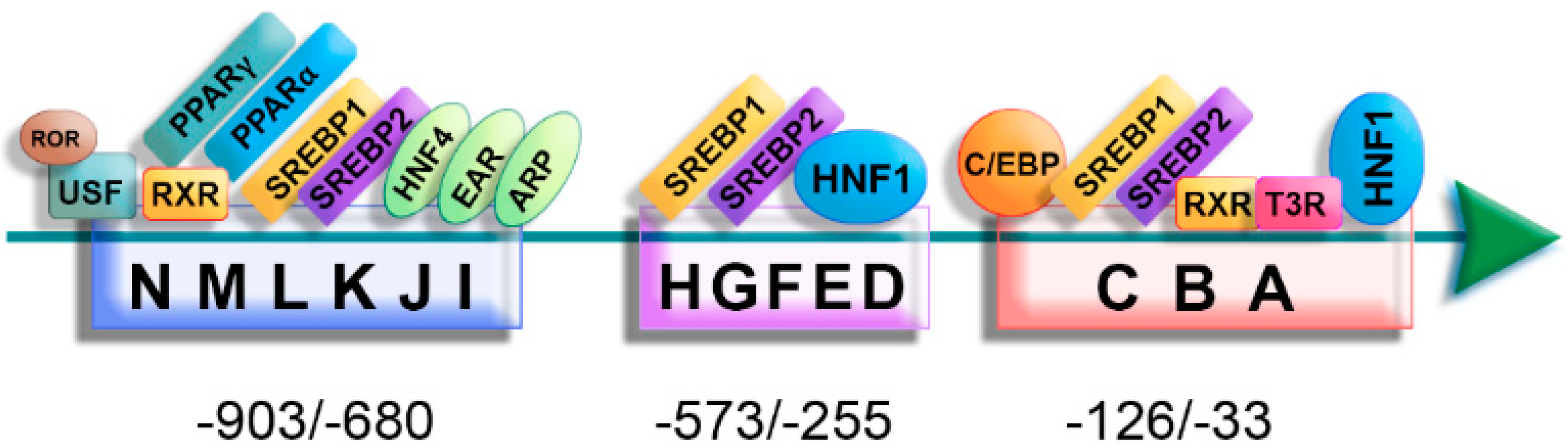 Biomedicines 10 01578 g002 Biomedicines 10 01578 g002