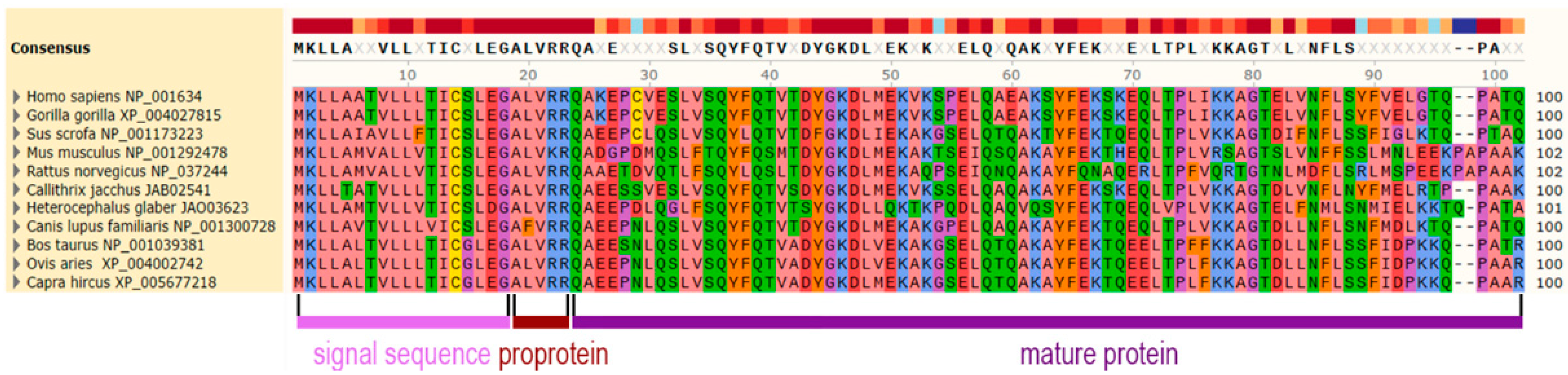 Biomedicines 10 01578 g003 Biomedicines 10 01578 g003