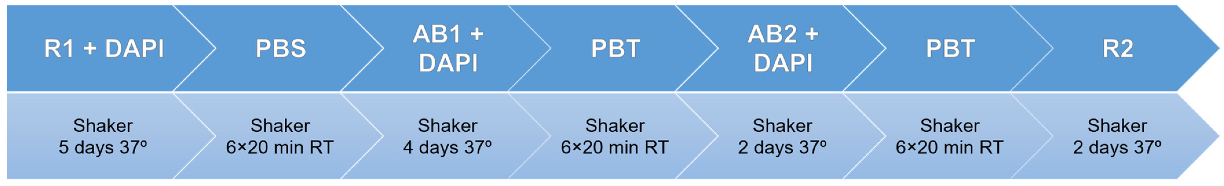 Biomedicines 10 01580 g002