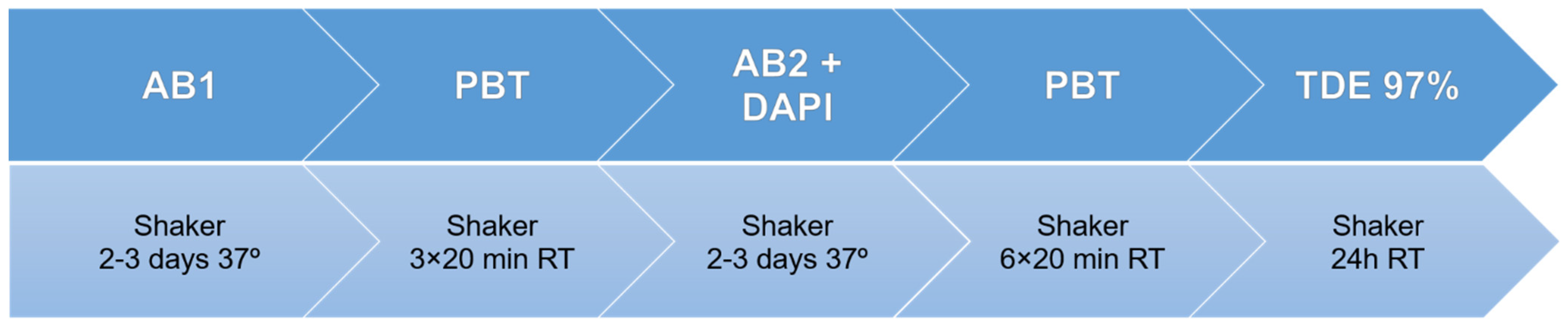 Biomedicines 10 01580 g004
