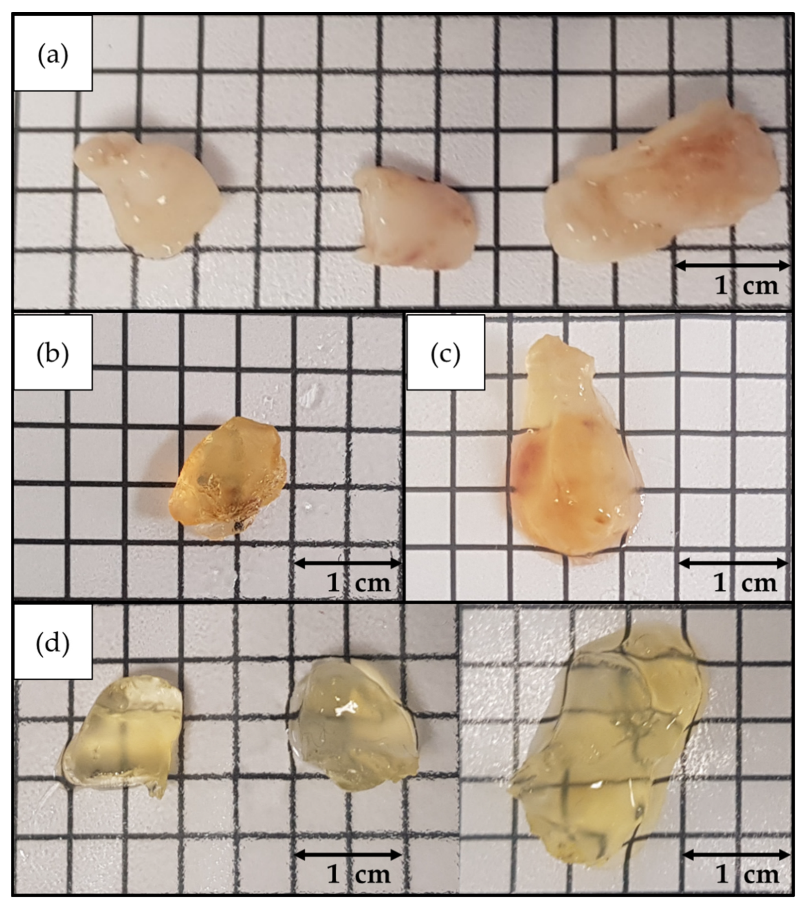 Biomedicines 10 01580 g006
