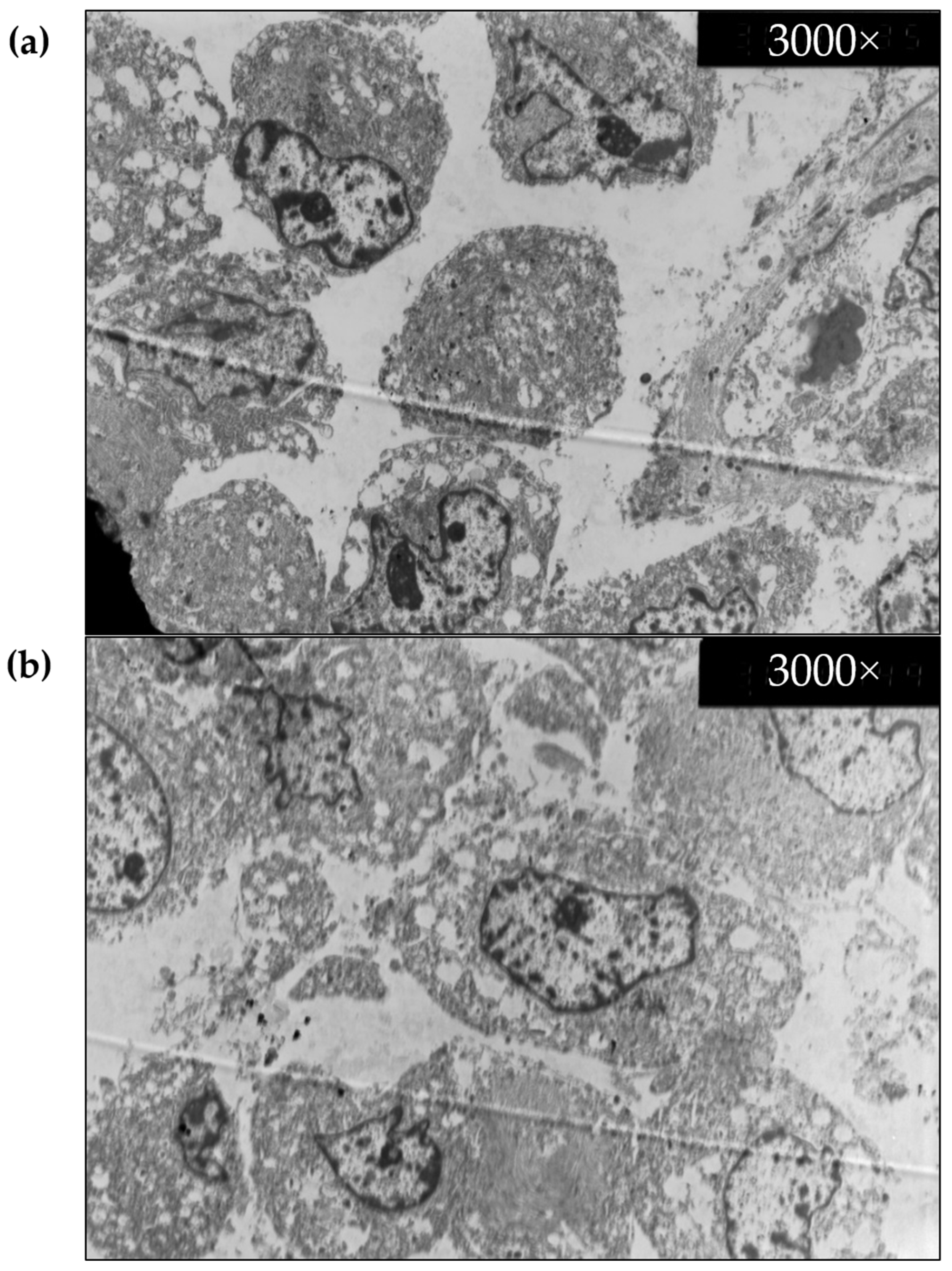 Biomedicines 10 01580 g009