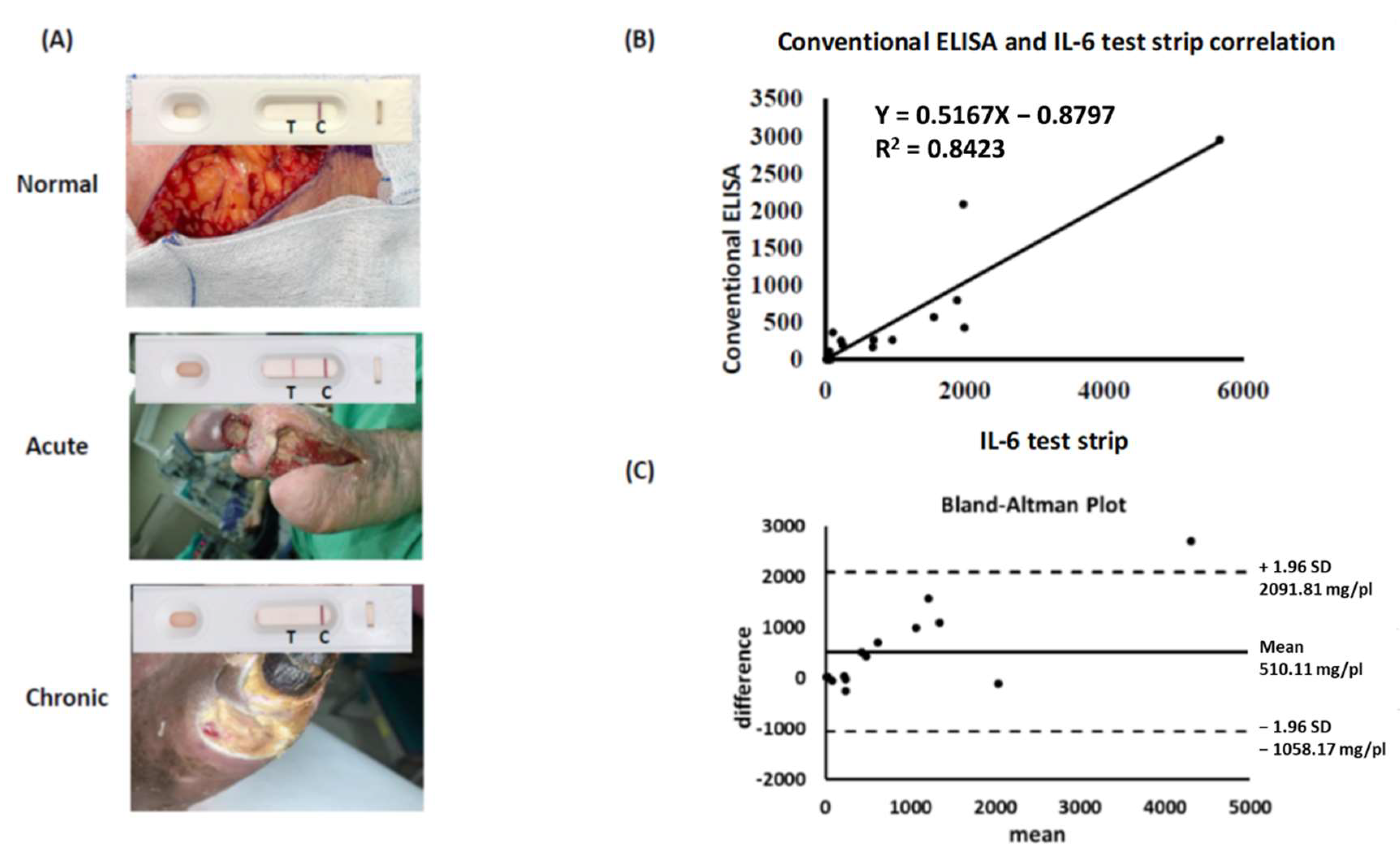 Biomedicines 10 01585 g003