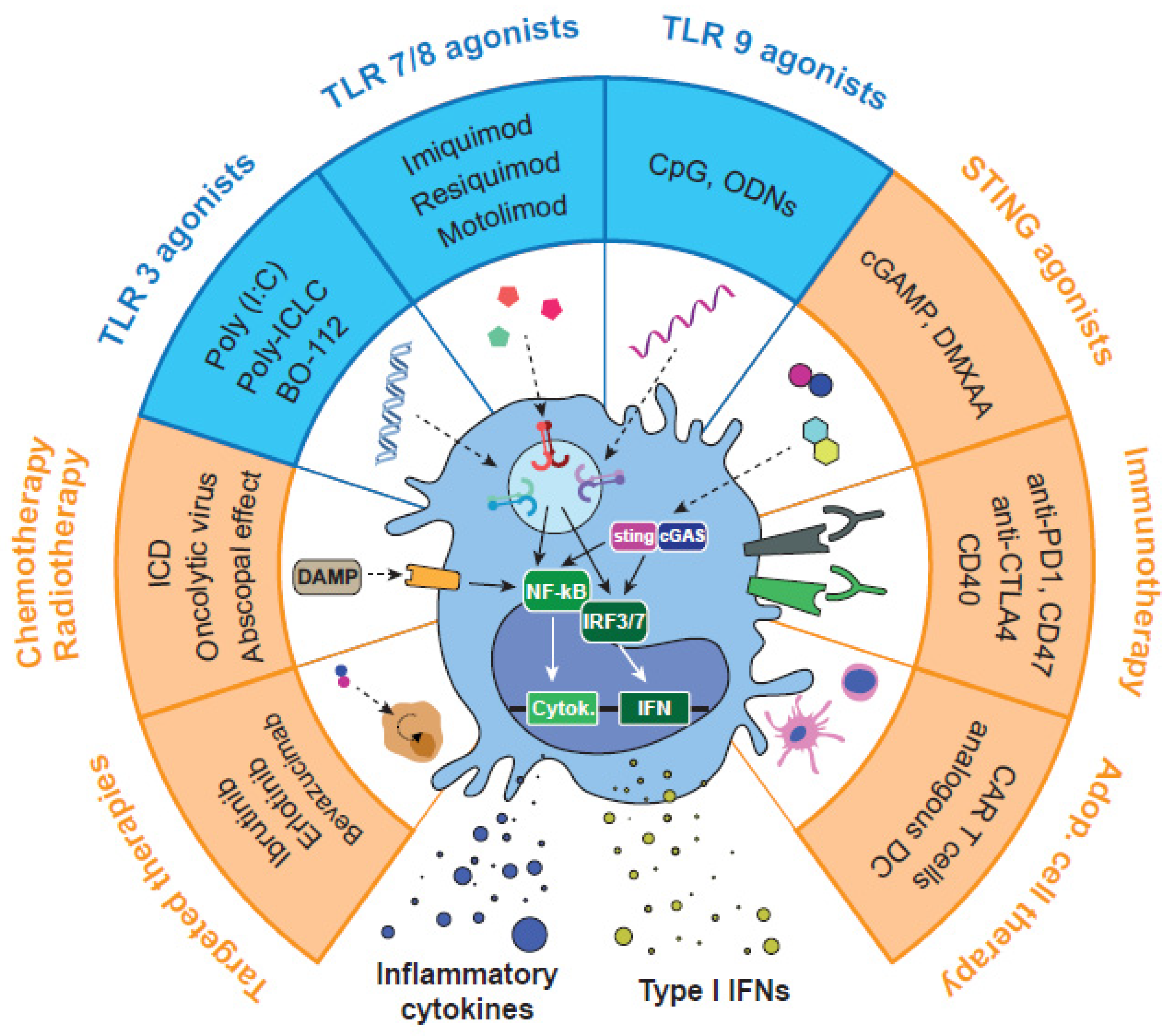 Biomedicines 10 01590 g003