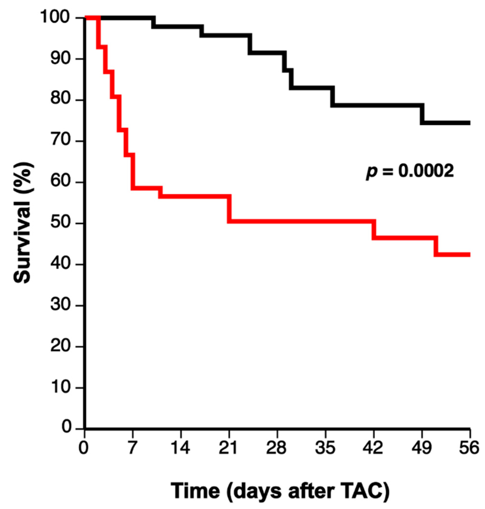 Biomedicines 10 01592 g001