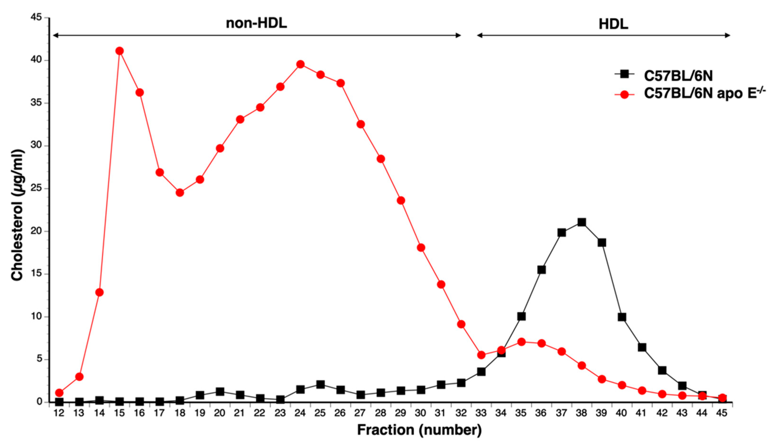 Biomedicines 10 01592 g002
