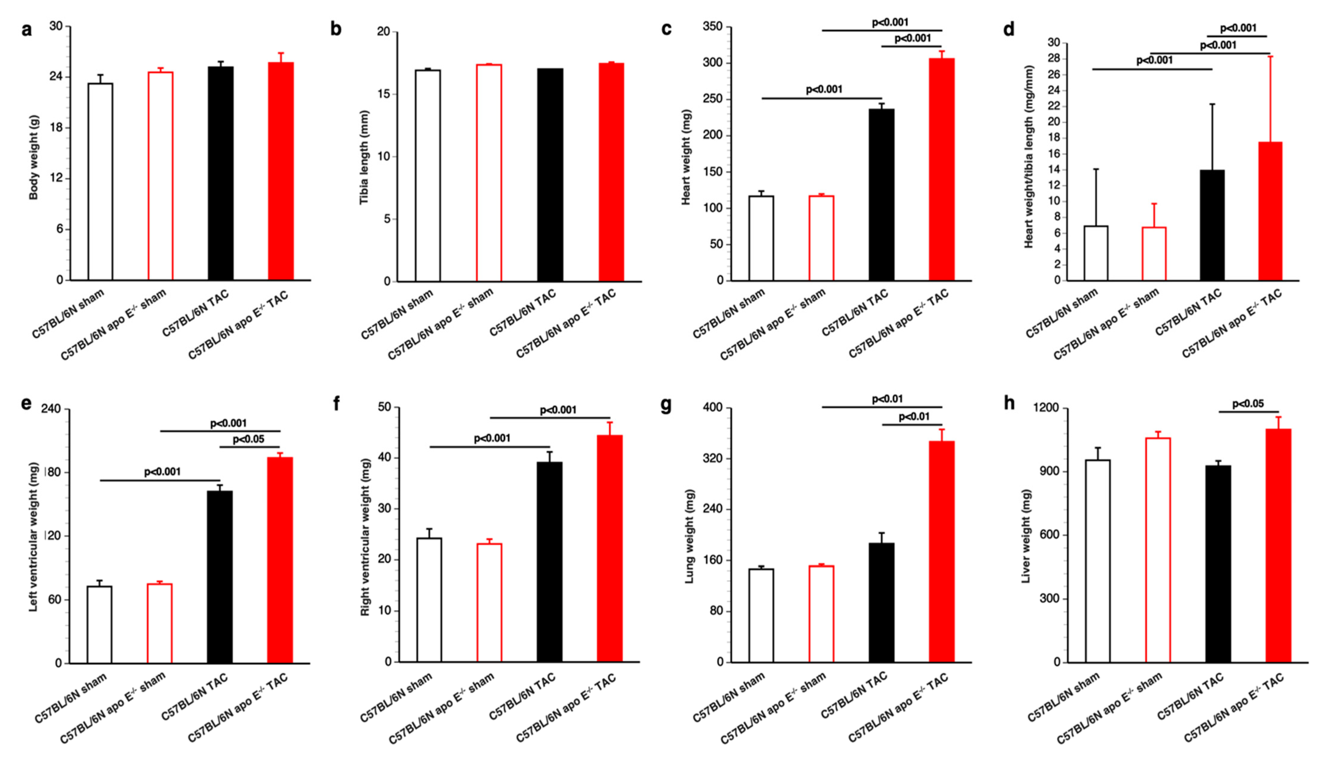 Biomedicines 10 01592 g004