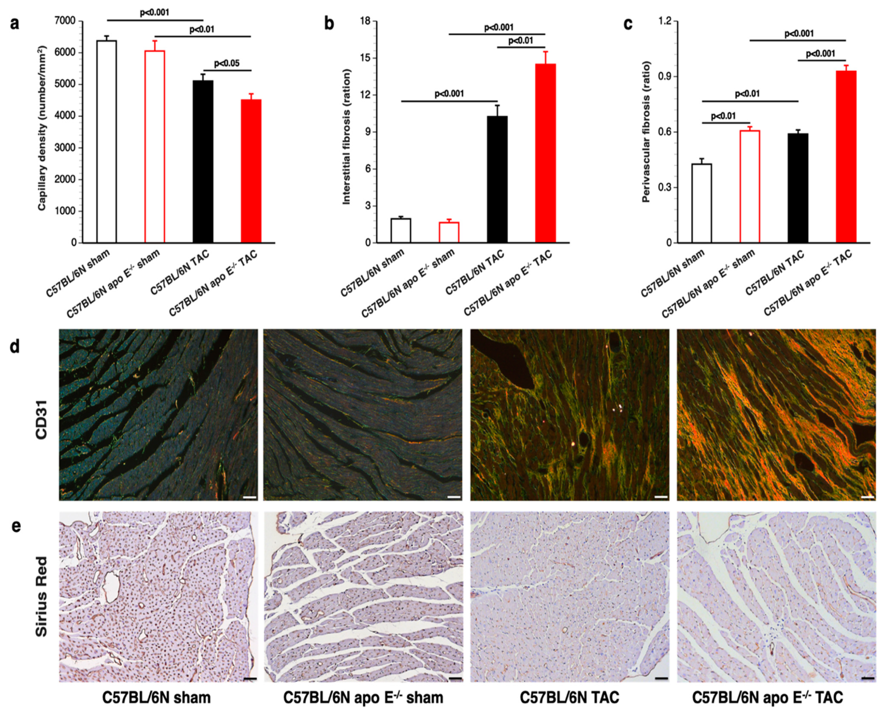 Biomedicines 10 01592 g005