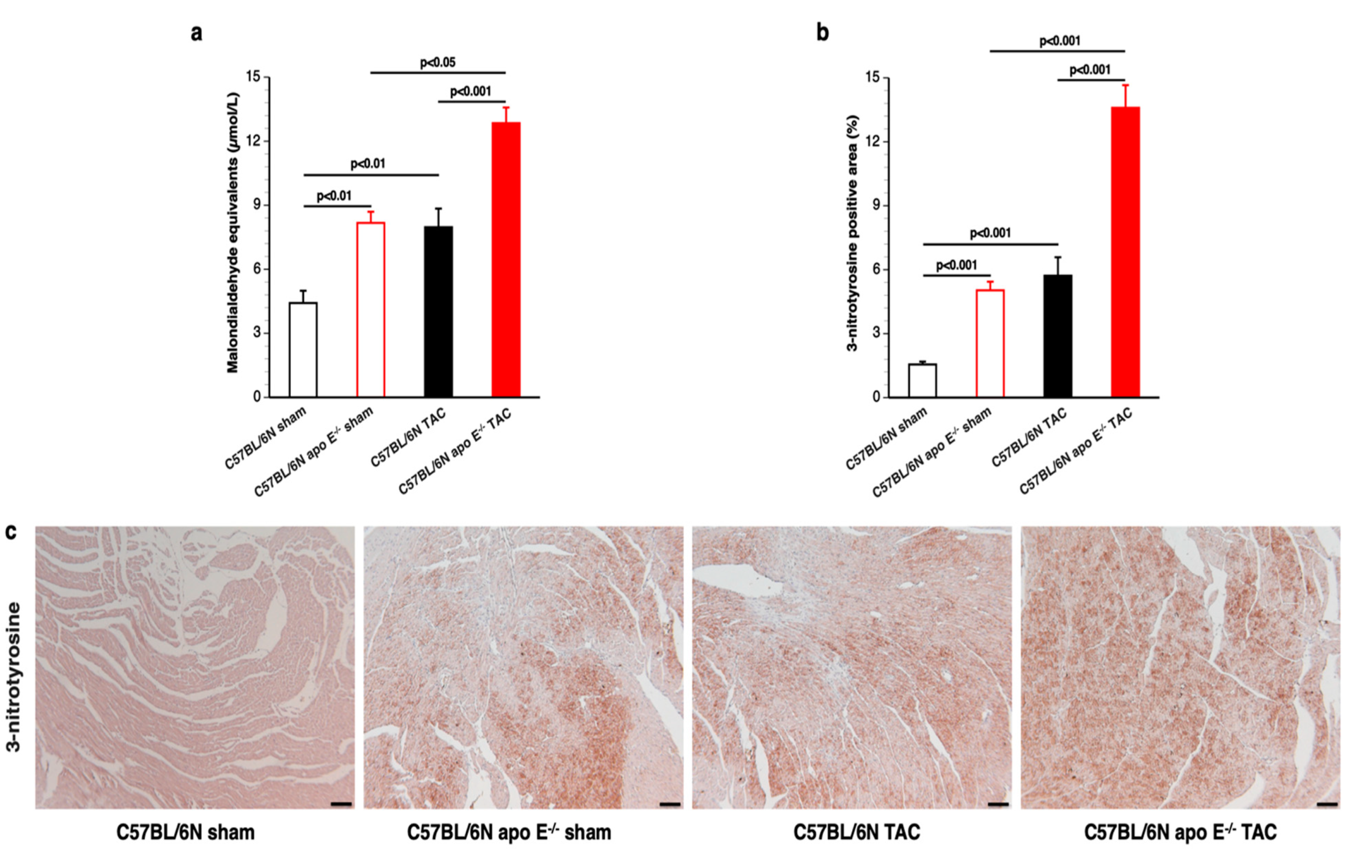 Biomedicines 10 01592 g006