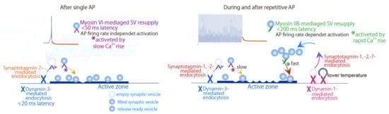 Biomedicines 10 01593 g002