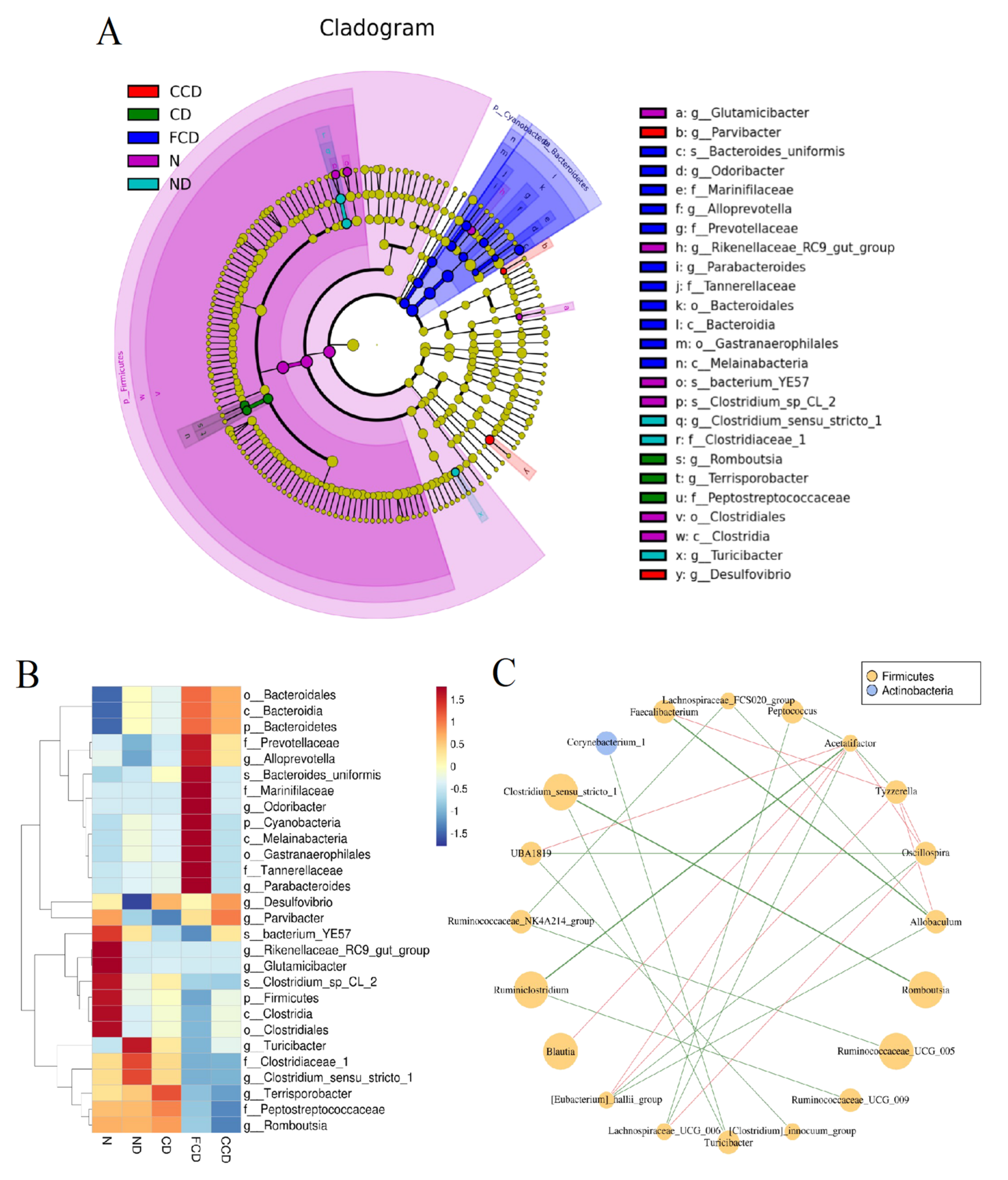 Biomedicines 10 01594 g003
