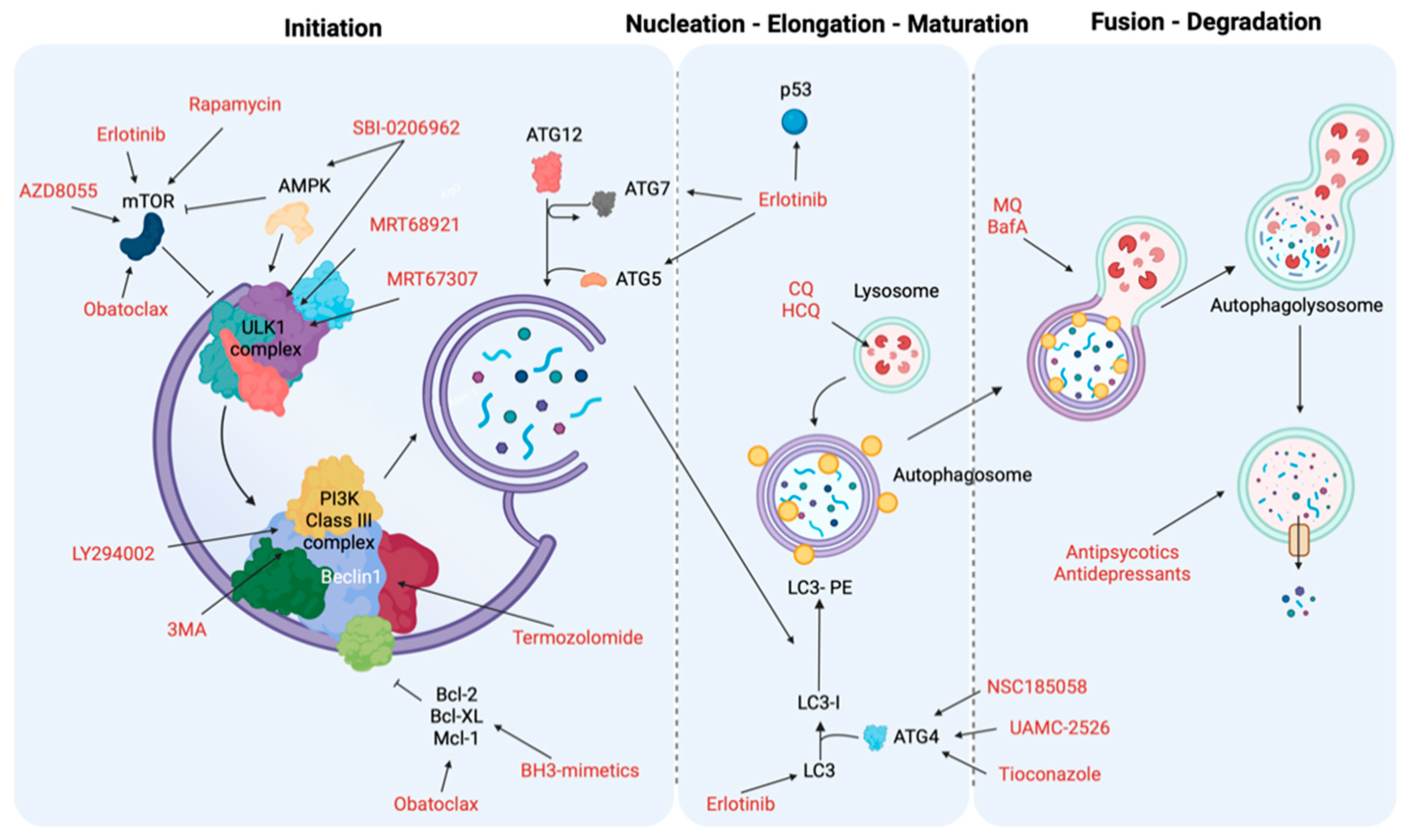 Biomedicines 10 01596 g002