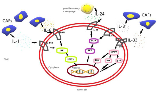 Biomedicines 10 01600 g001 550