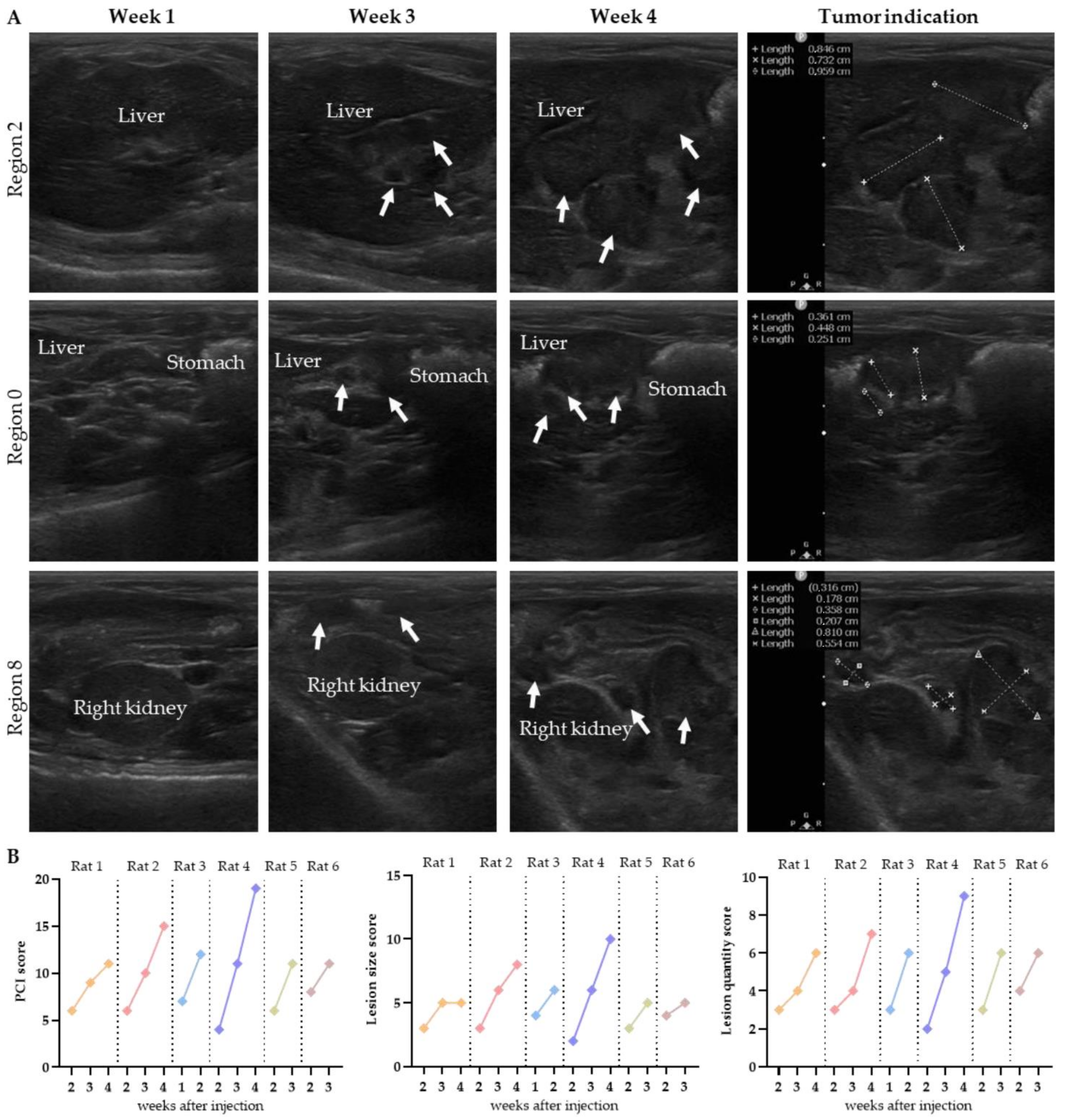 Biomedicines 10 01610 g004 Biomedicines 10 01610 g004