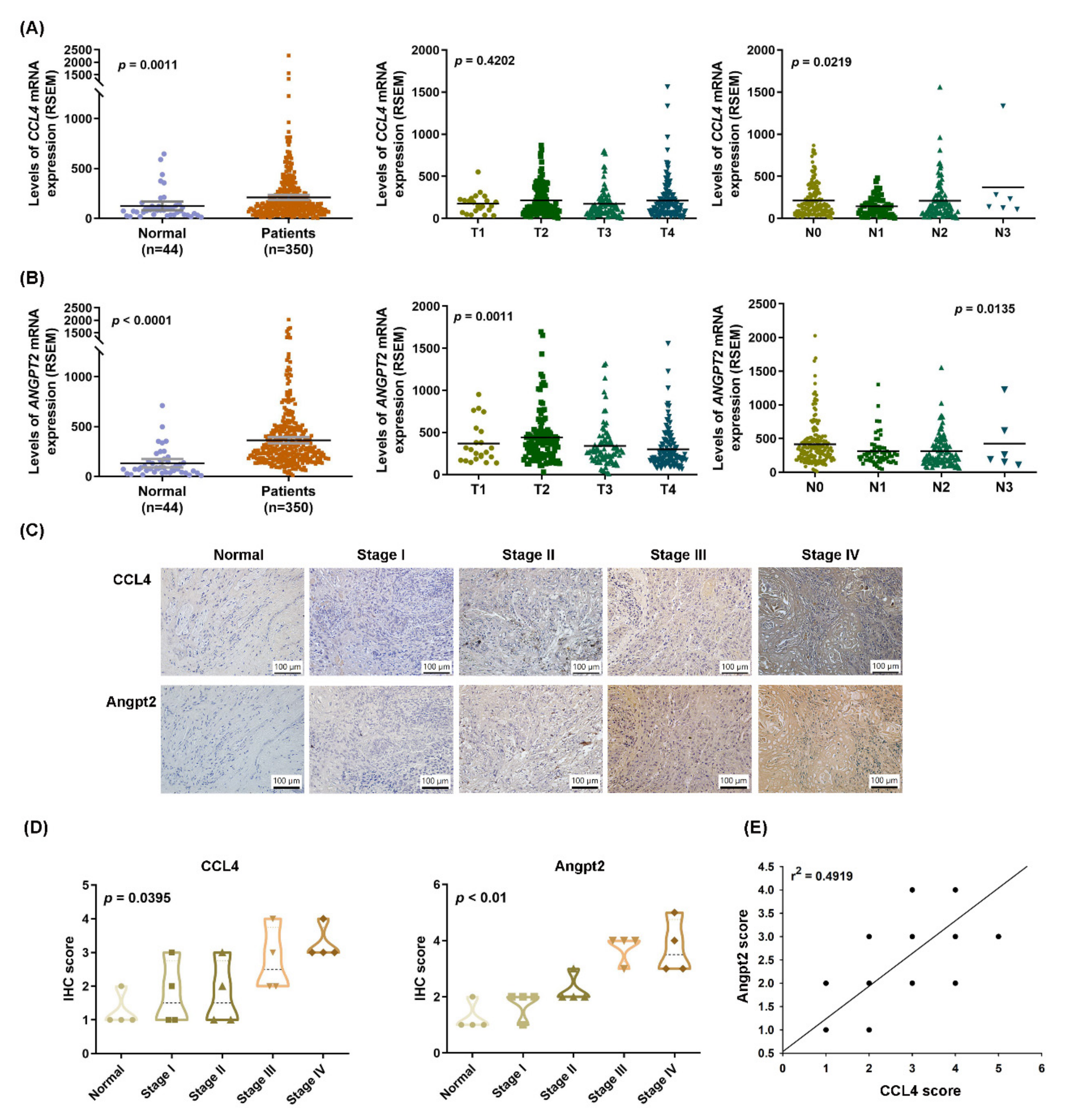 Biomedicines 10 01612 g001