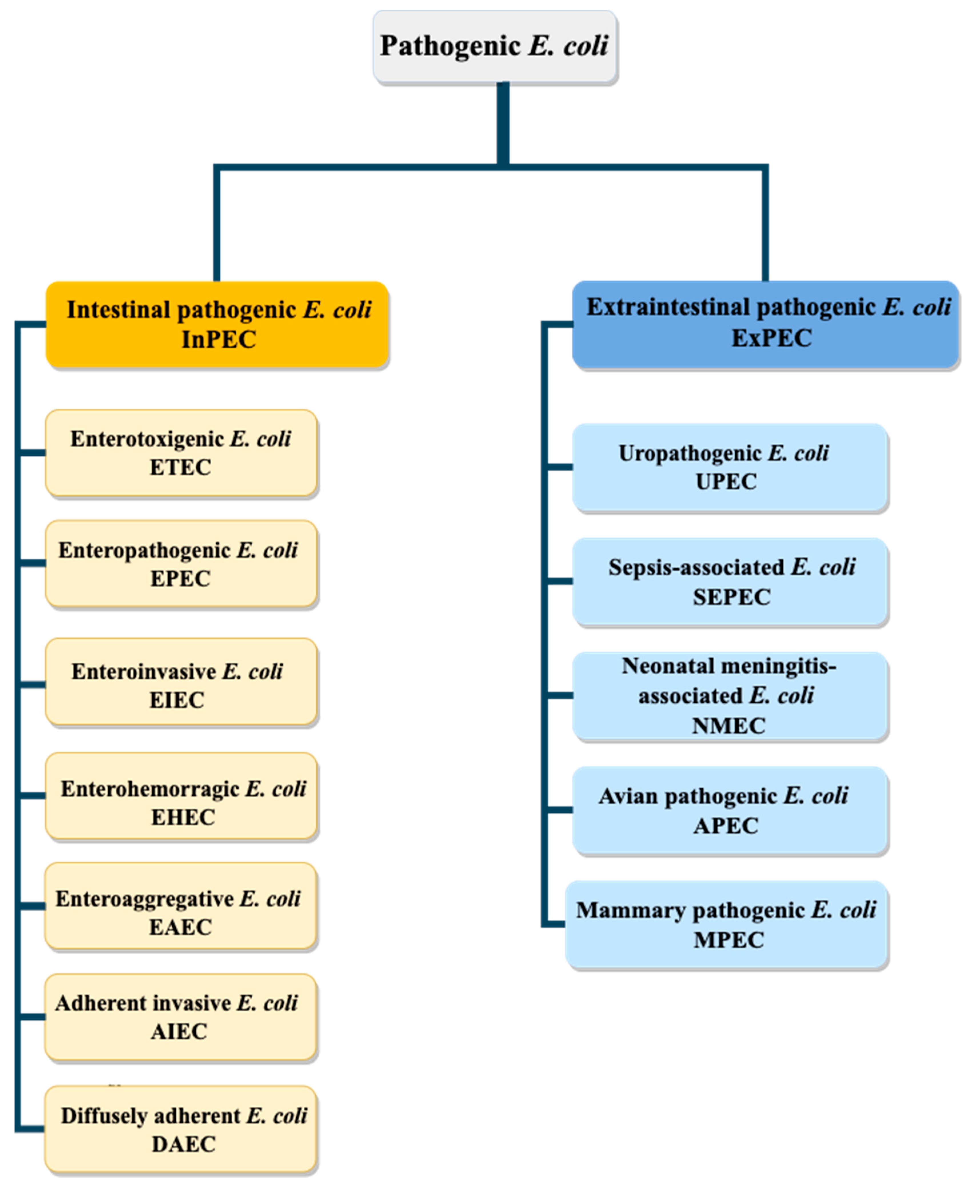 Biomedicines 10 01636 g001