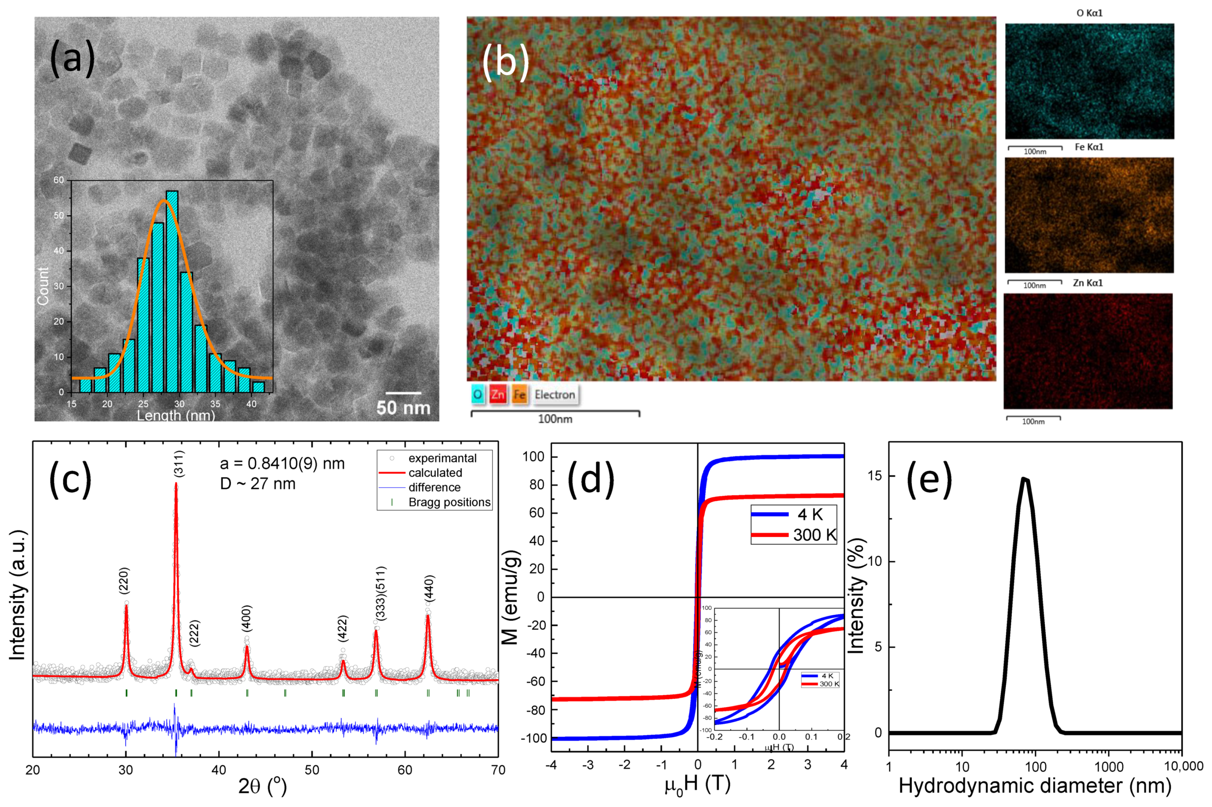 Biomedicines 10 01647 g001